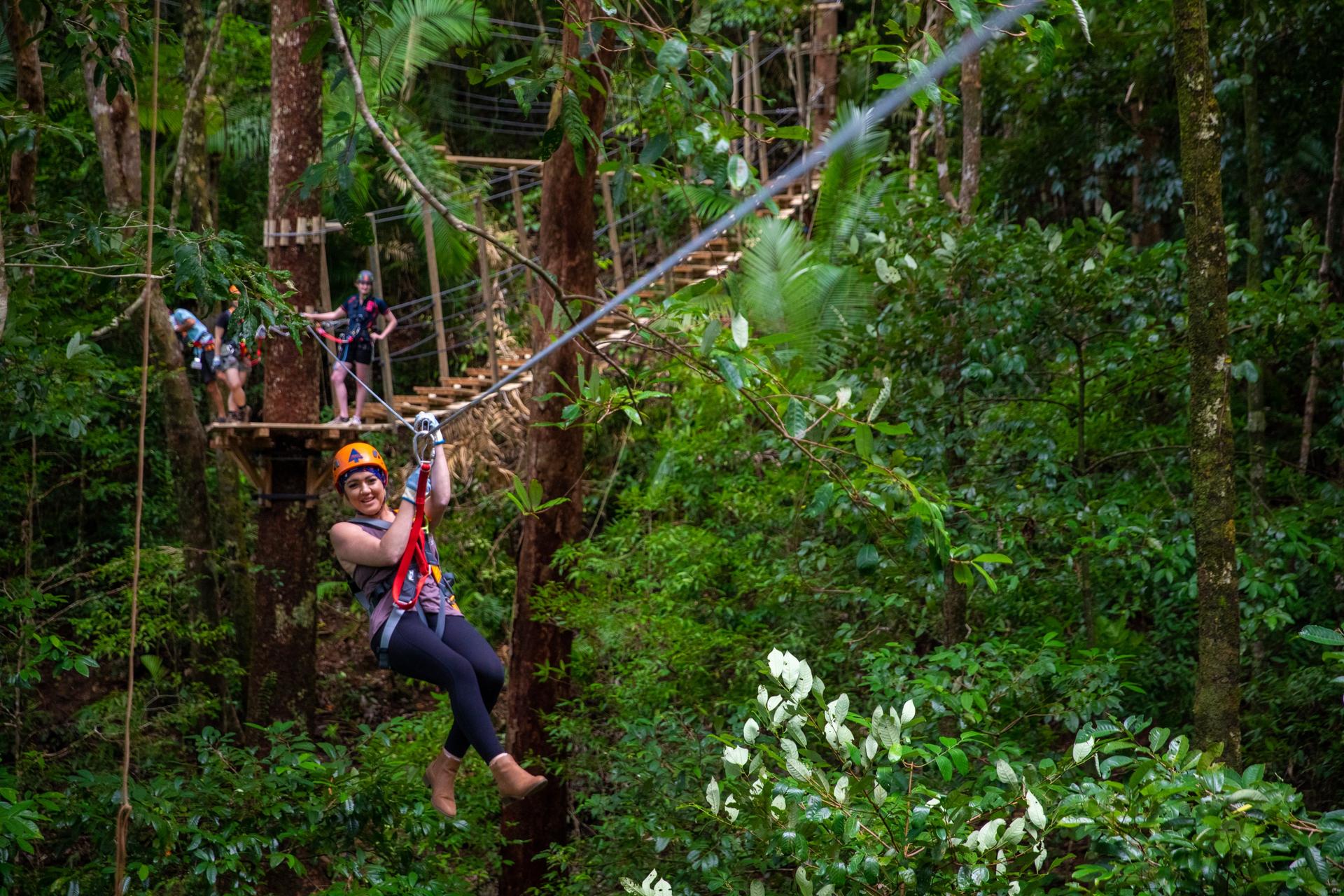 Daintree Rainforest Canopy Zipline Tour in Cape Tribulation - Image 1