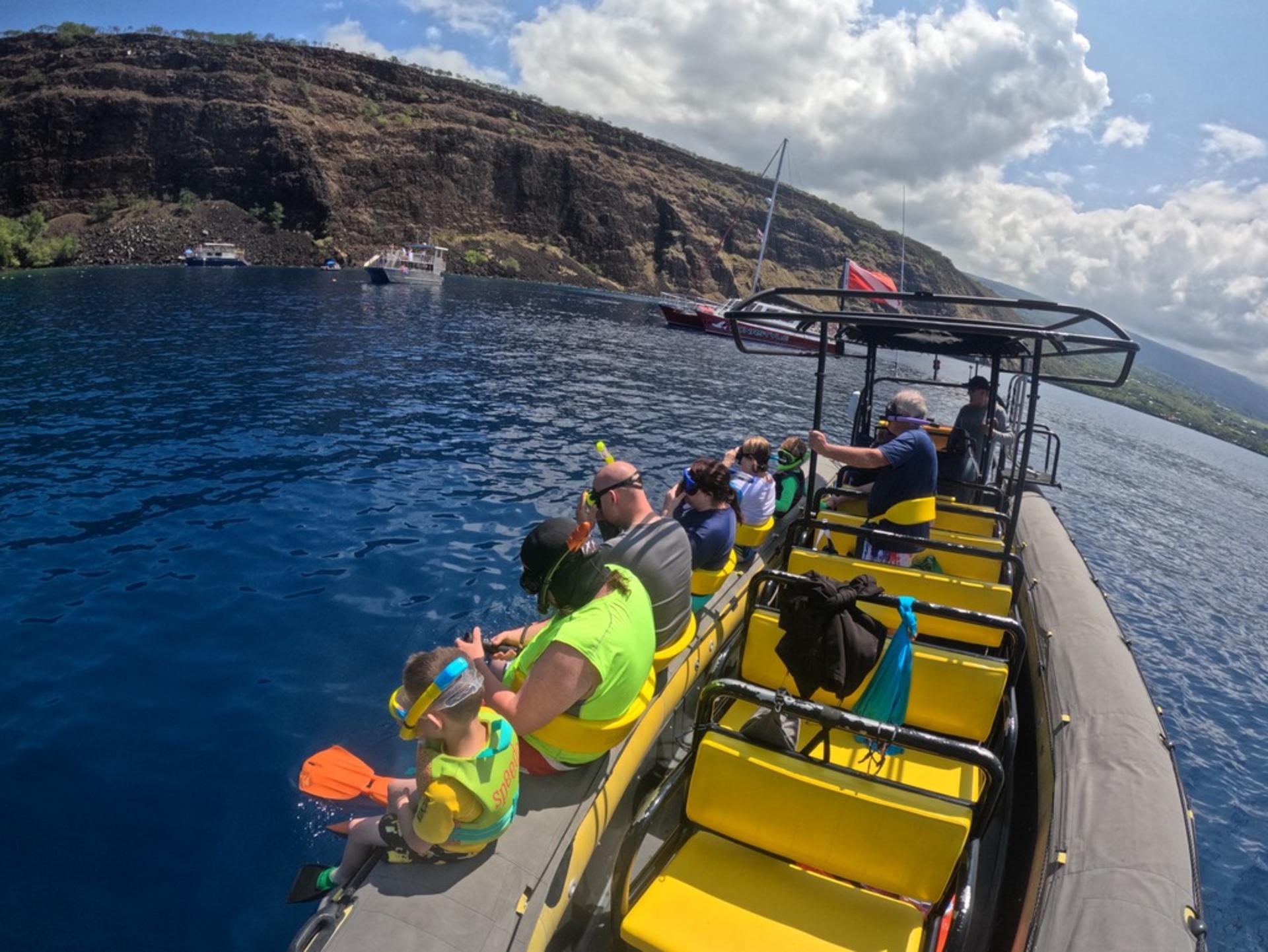 Captain Cook Monument Dolphin Watch in Kealakekua Bay - Thumbnail 7
