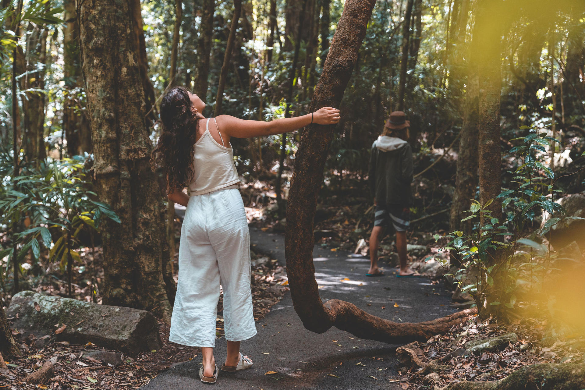 Springbrook & Tamborine Rainforest Tour - Thumbnail 10