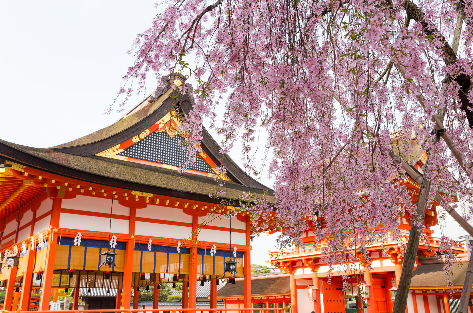 Fushimi Inari-Taisha | Arashiyama |Kiyomizu-Dera Day Tour from Kyoto - Thumbnail 11