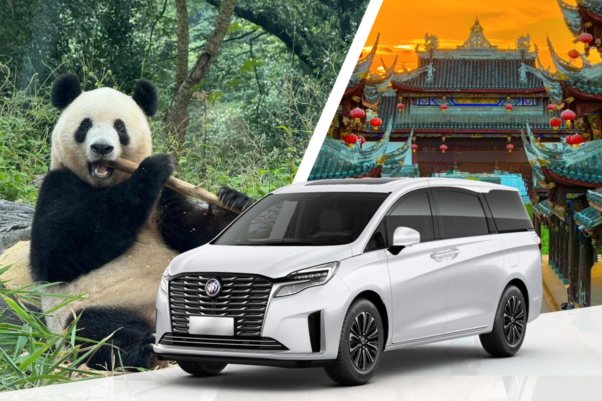 [Meet Xiang Xiang] Sichuan Bifengxia Panda Base & Huanglongxi Private Day Tour - Image 1