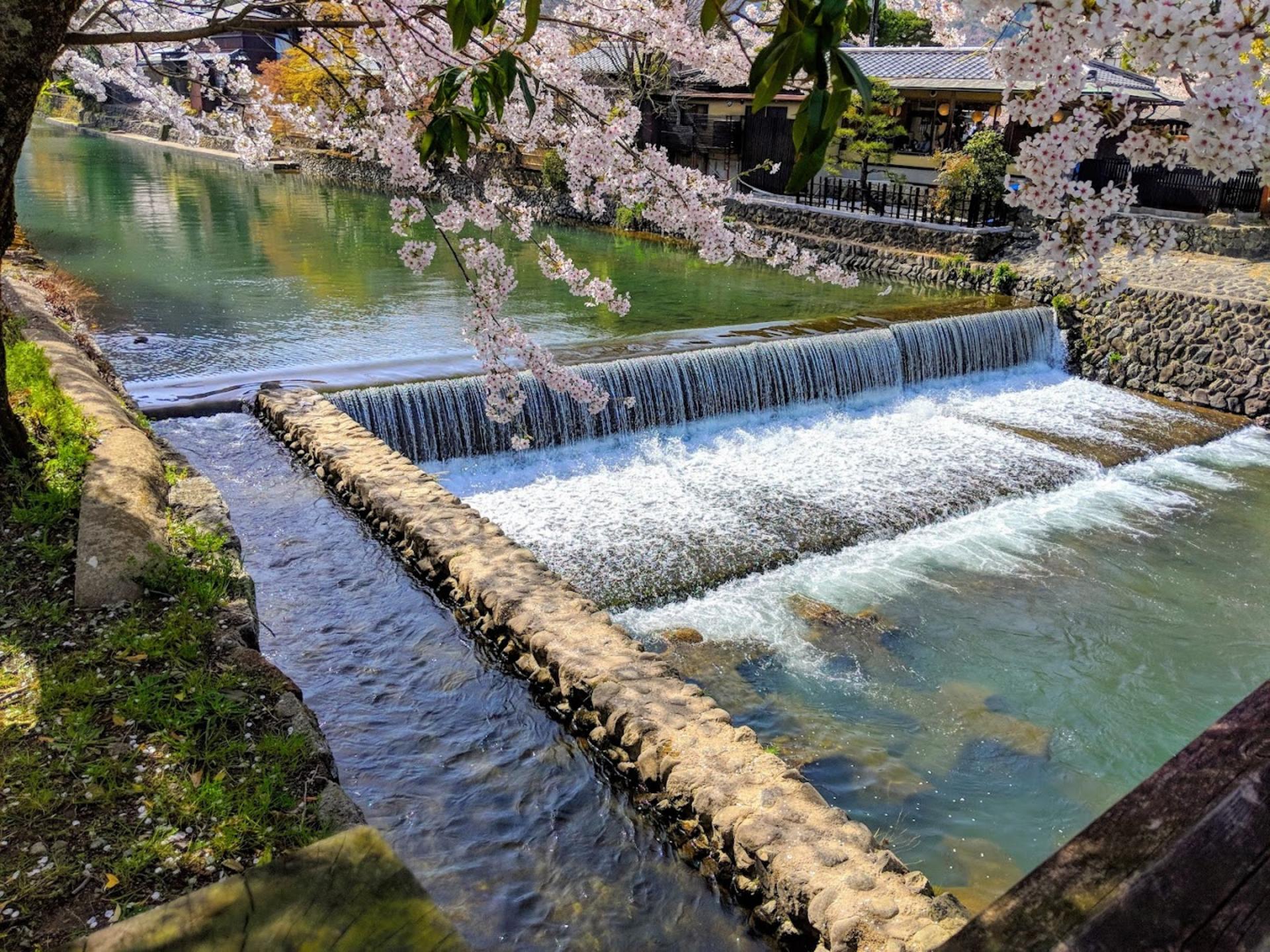 Kyoto Arashiyama Scenic & Cultural Exploration and Nara Adorable Deer Fun Experience Day Tour - Thumbnail 32
