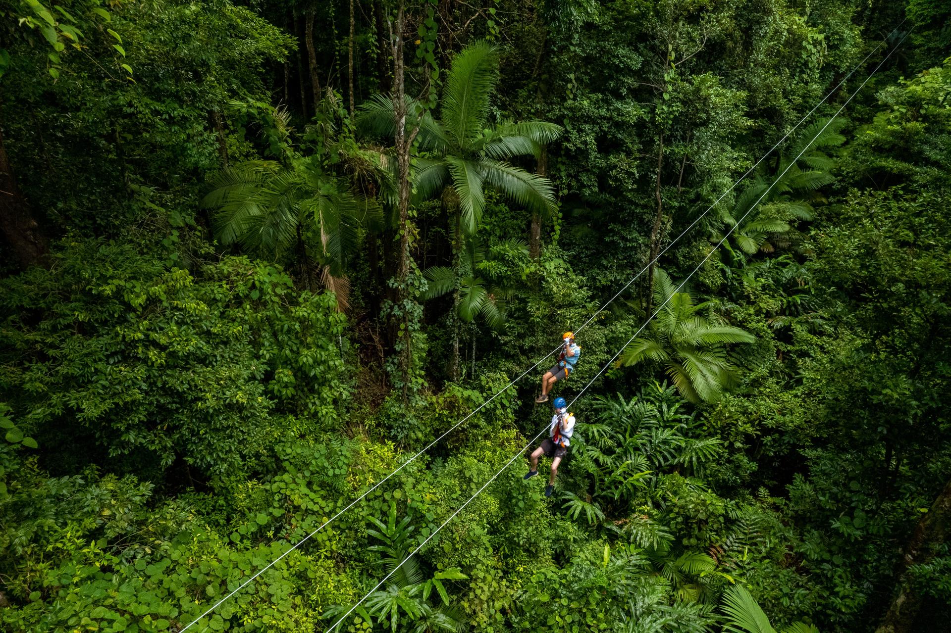 Daintree Rainforest Canopy Zipline Tour in Cape Tribulation - Thumbnail 2