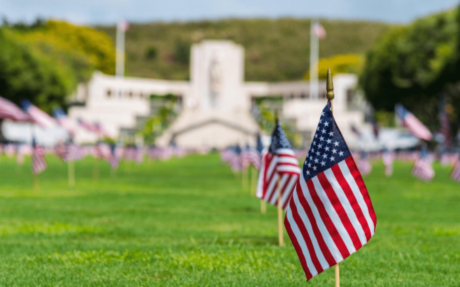 Pearl Harbor, USS Arizona Memorial & Honolulu City Tour - Thumbnail 4