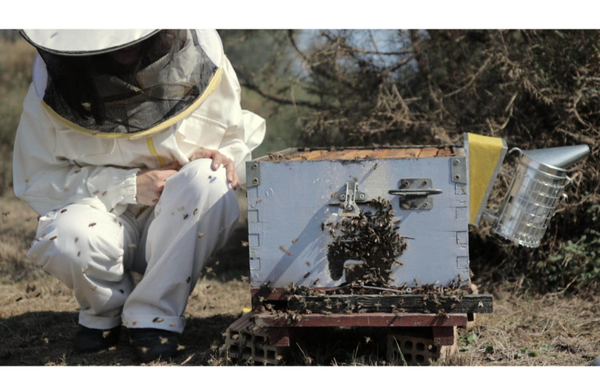Beekeeping Experience and Honey Tasting in Kalamata - Image 1