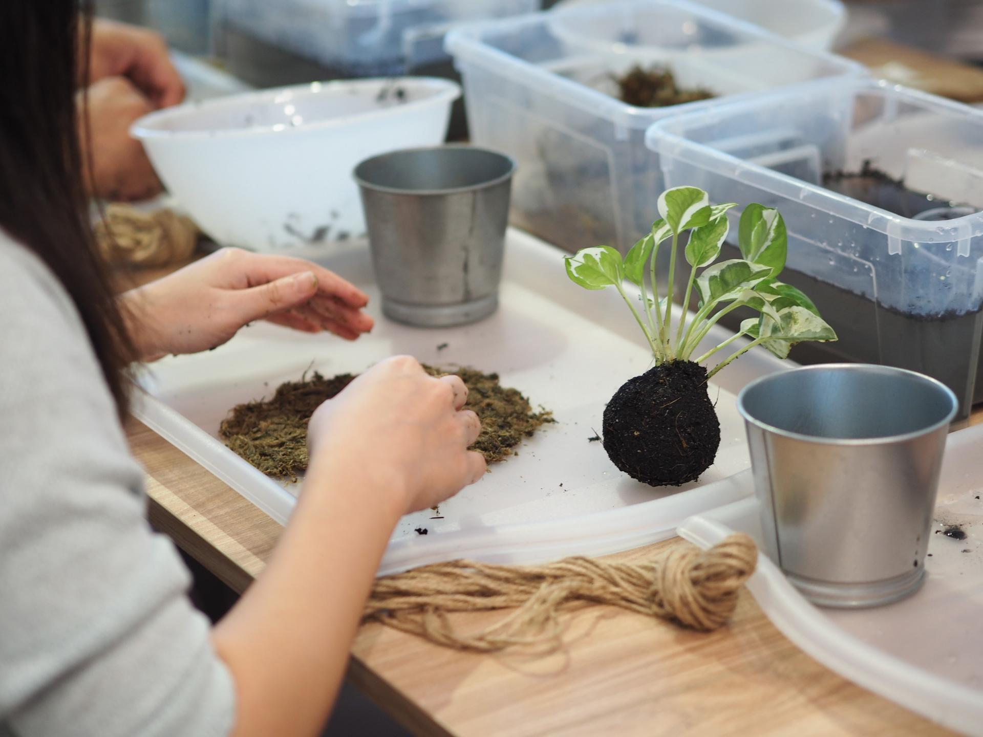 Kokedama Workshop in Yishun Singapore - Thumbnail 9