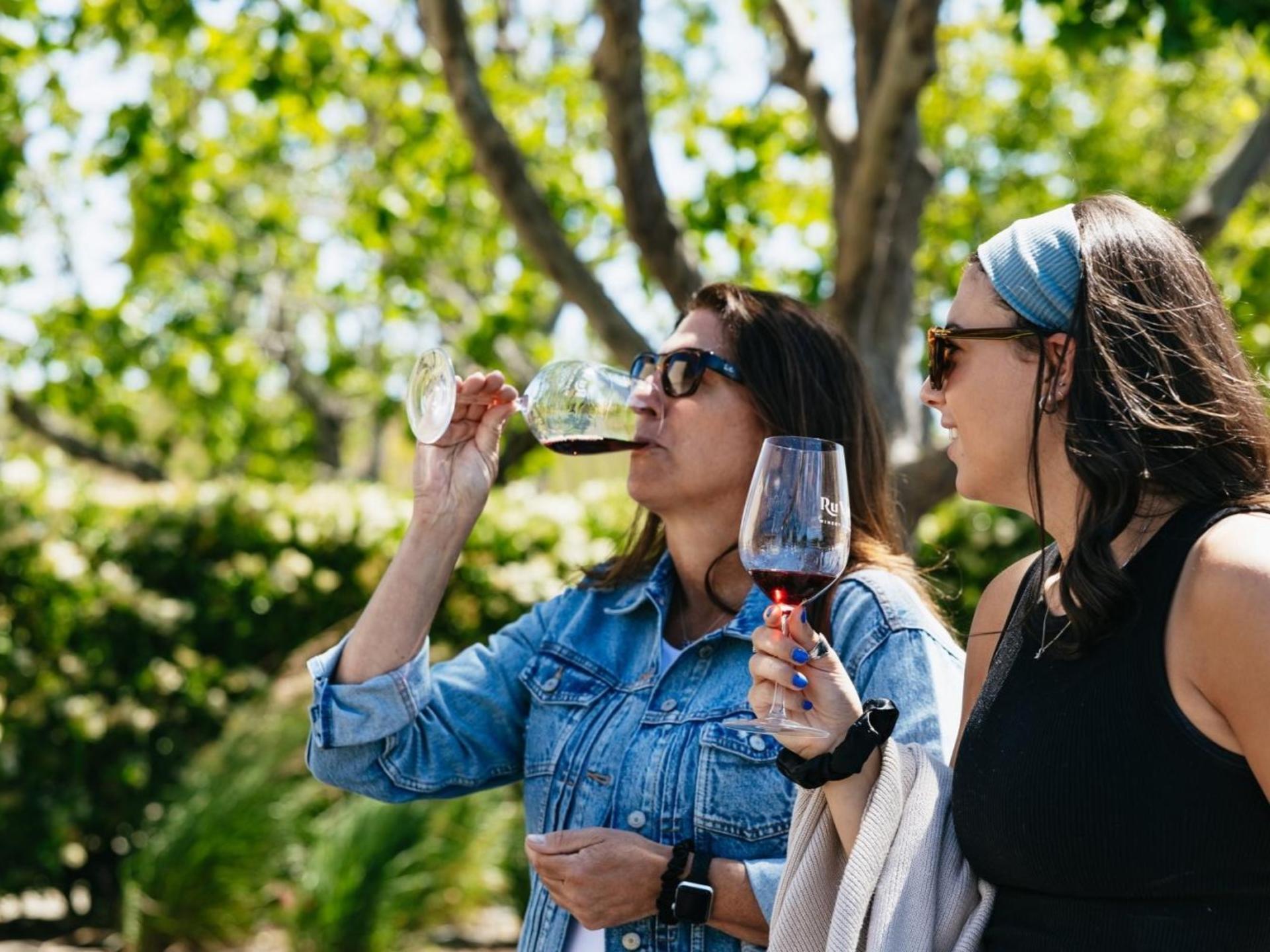 Napa Valley Wine and Food Tasting Tour from San Francisco - Thumbnail 2