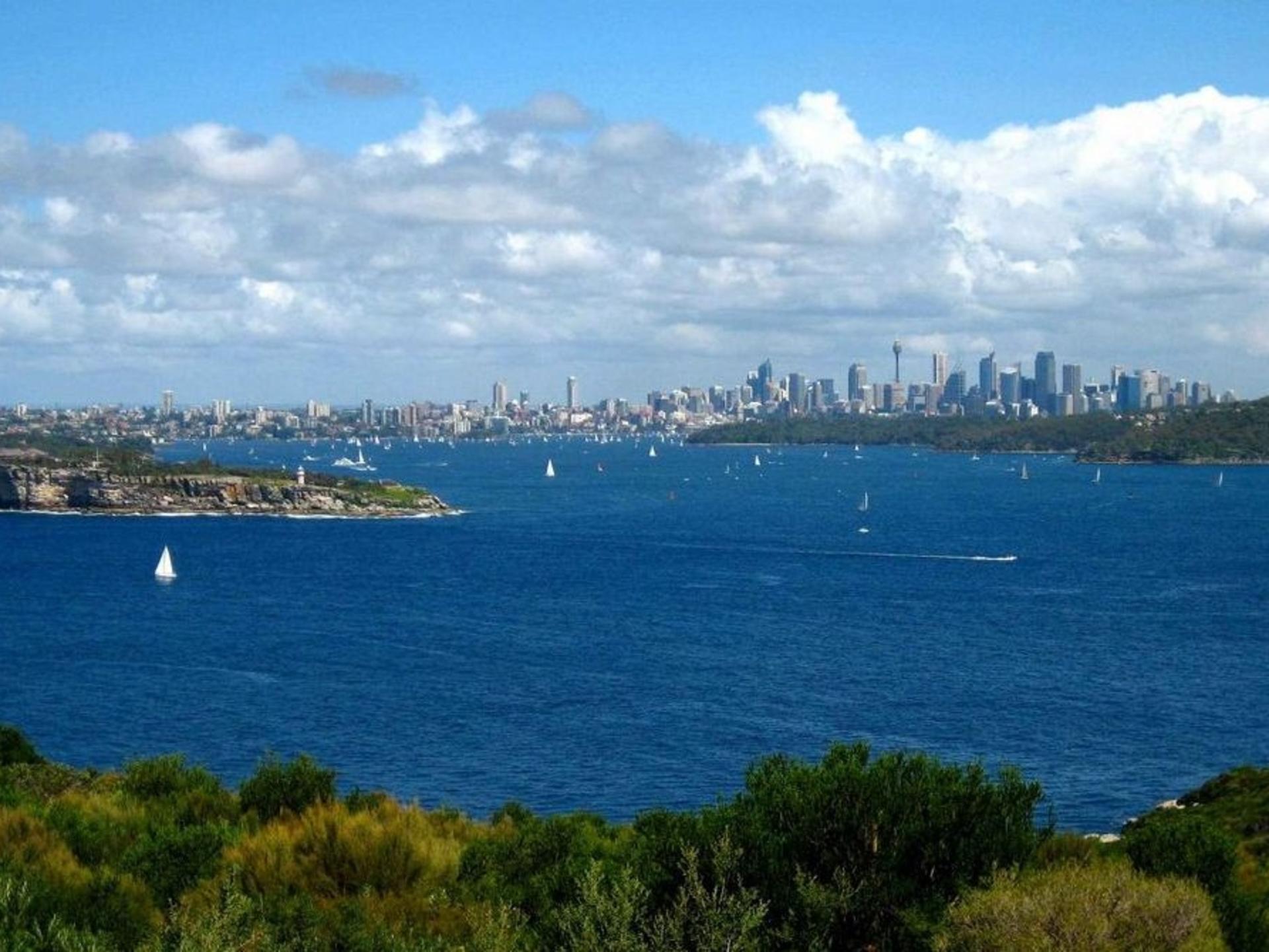 Sydney Northern Wilderness and Coastal Tour - Thumbnail 6