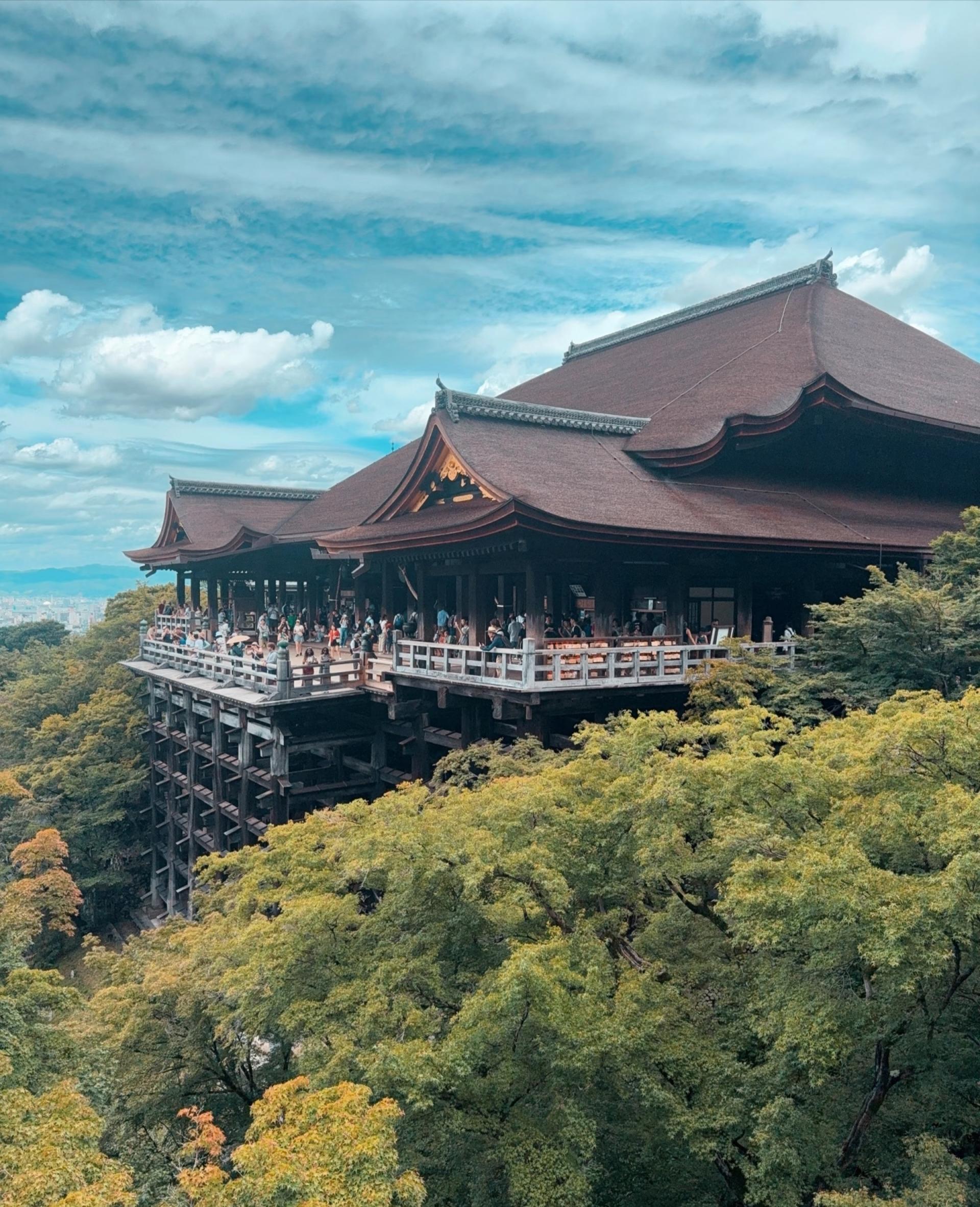 Kyoto one-day private tour (1~4 people) - Thumbnail 4