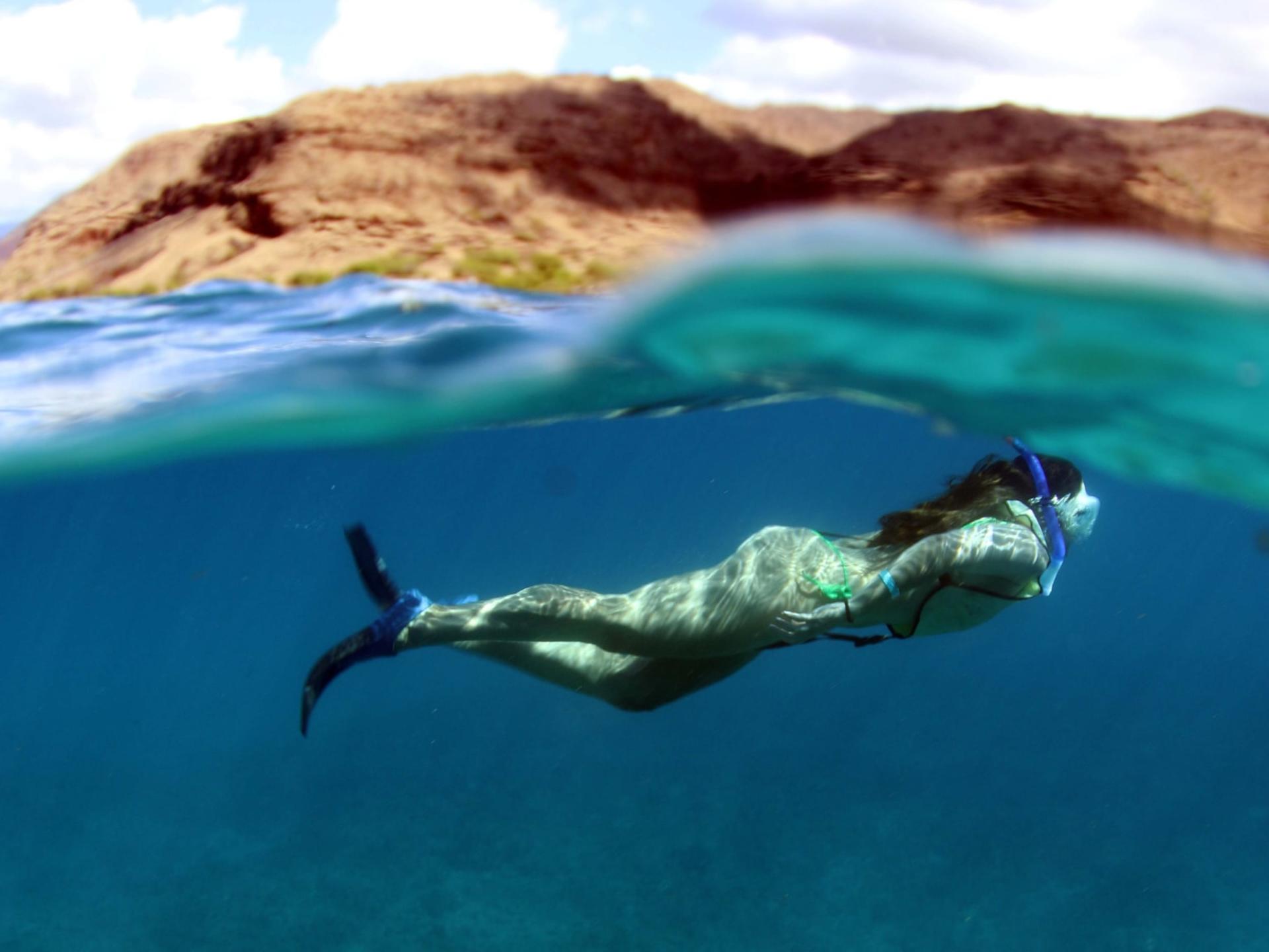 Zipline & Dolphin Watching Snorkel Adventure in Oahu - Thumbnail 4
