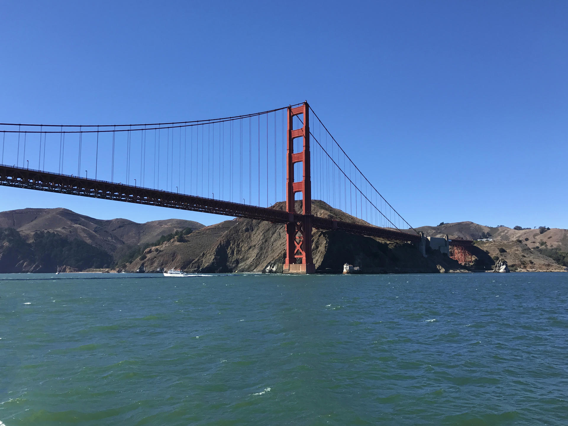 Golden Gate Bay Cruise in San Francisco - Thumbnail 4