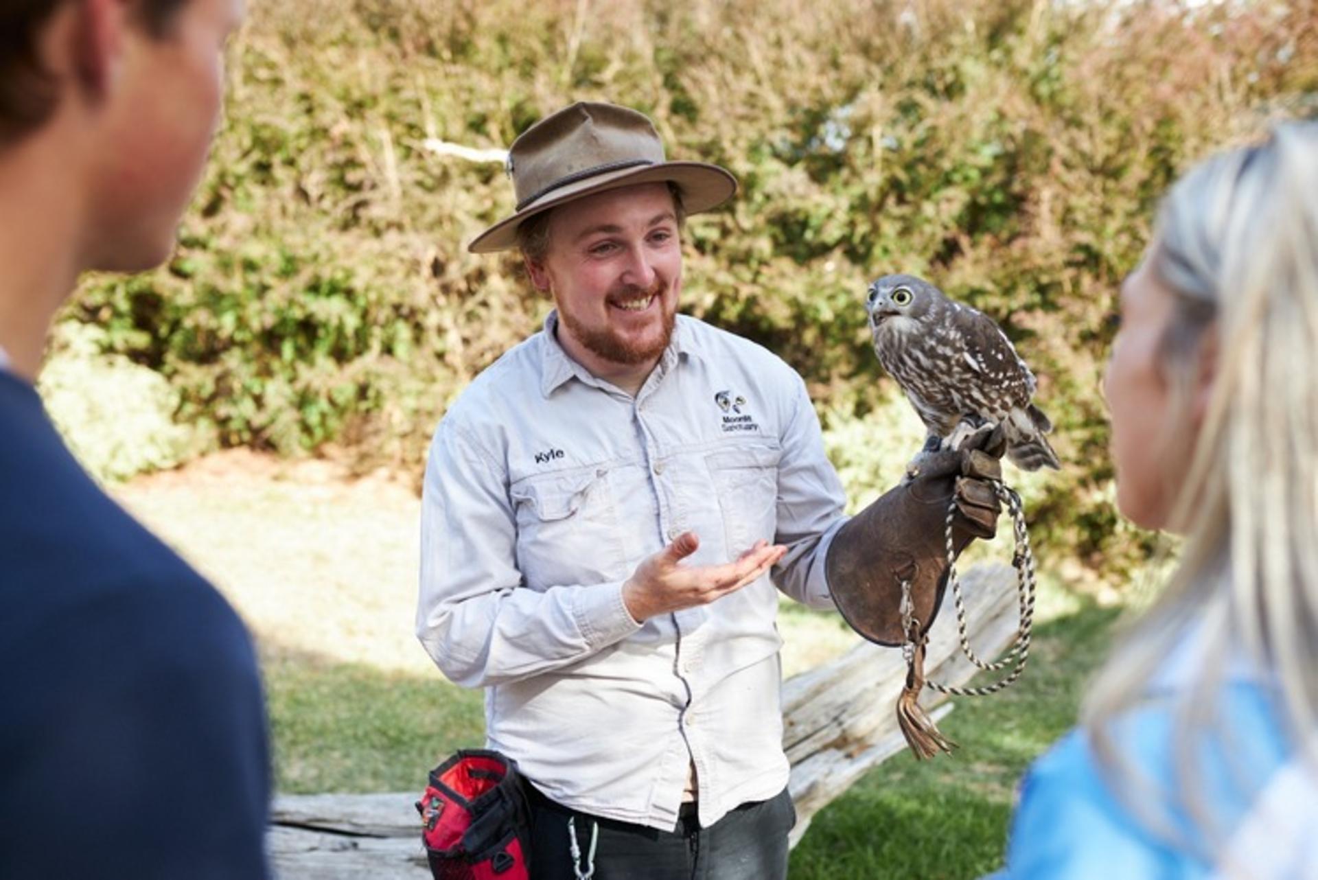 Phillip Island Wildlife & Brighton Beach Boxes Tour	 - Thumbnail 7