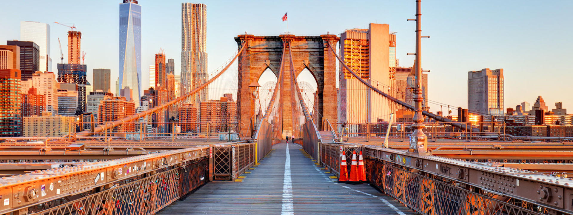 Contrast of NYC: Bronx, Brooklyn, Harlem, Queens & Coney Island - Image 1