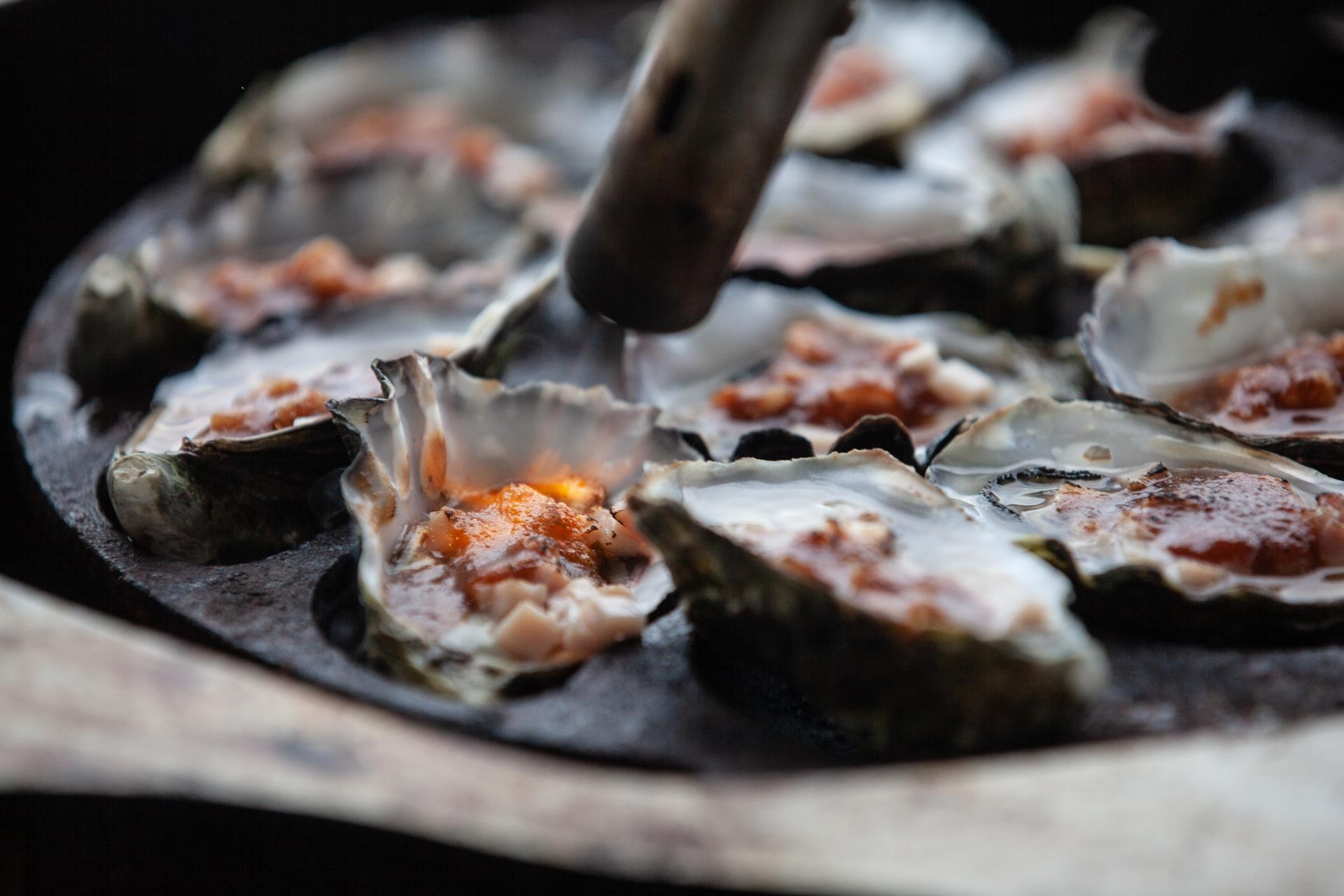 Tasmanian Wild Seafood Adventures: Deep-to-dish - Thumbnail 18