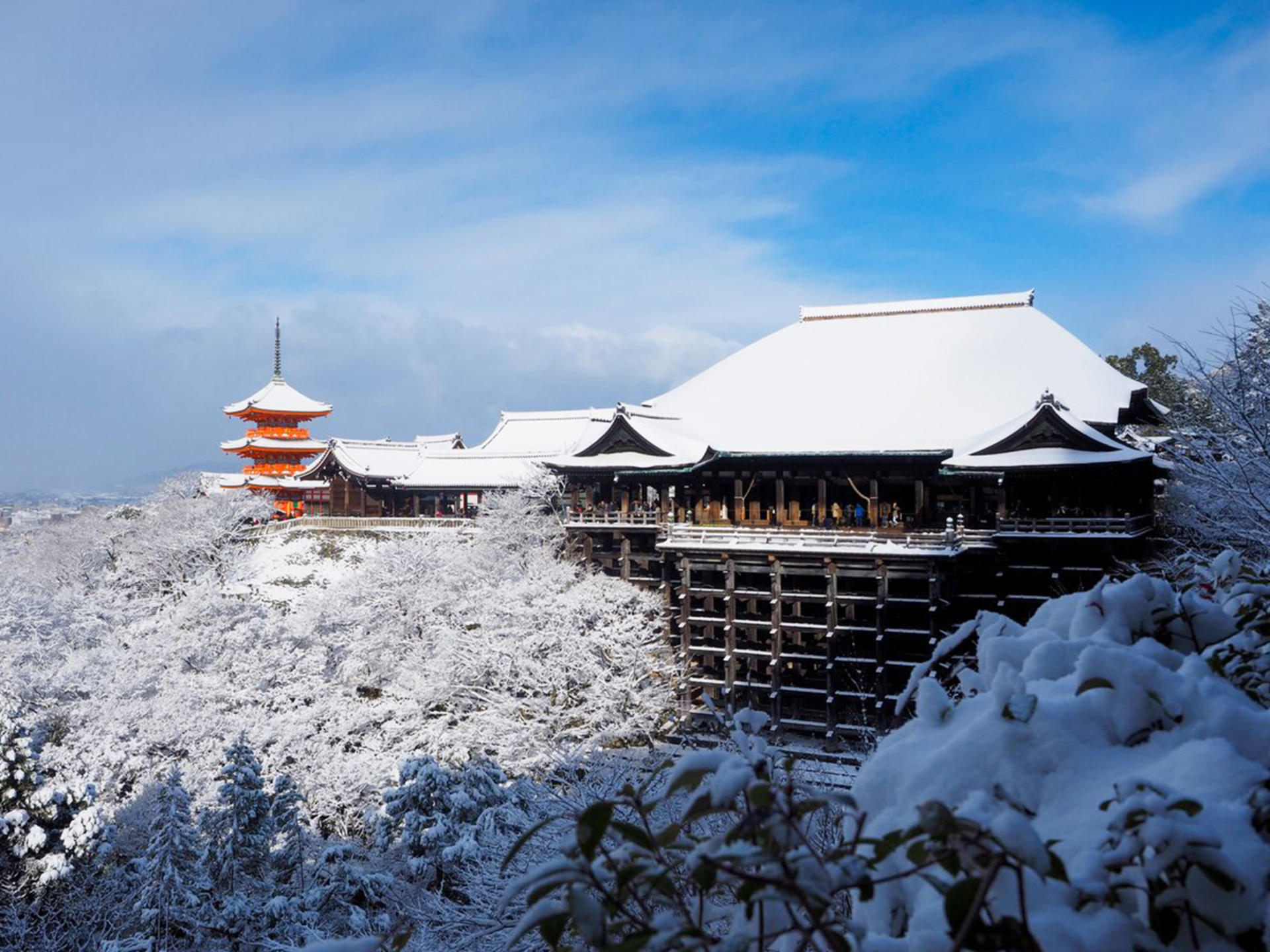 Kyoto Nara Day Trip │ Kiyomizu-dera Temple + Fushimi Inari-taisha Shrine + Nara Park (Departing from Osaka/Kyoto) - Thumbnail 29