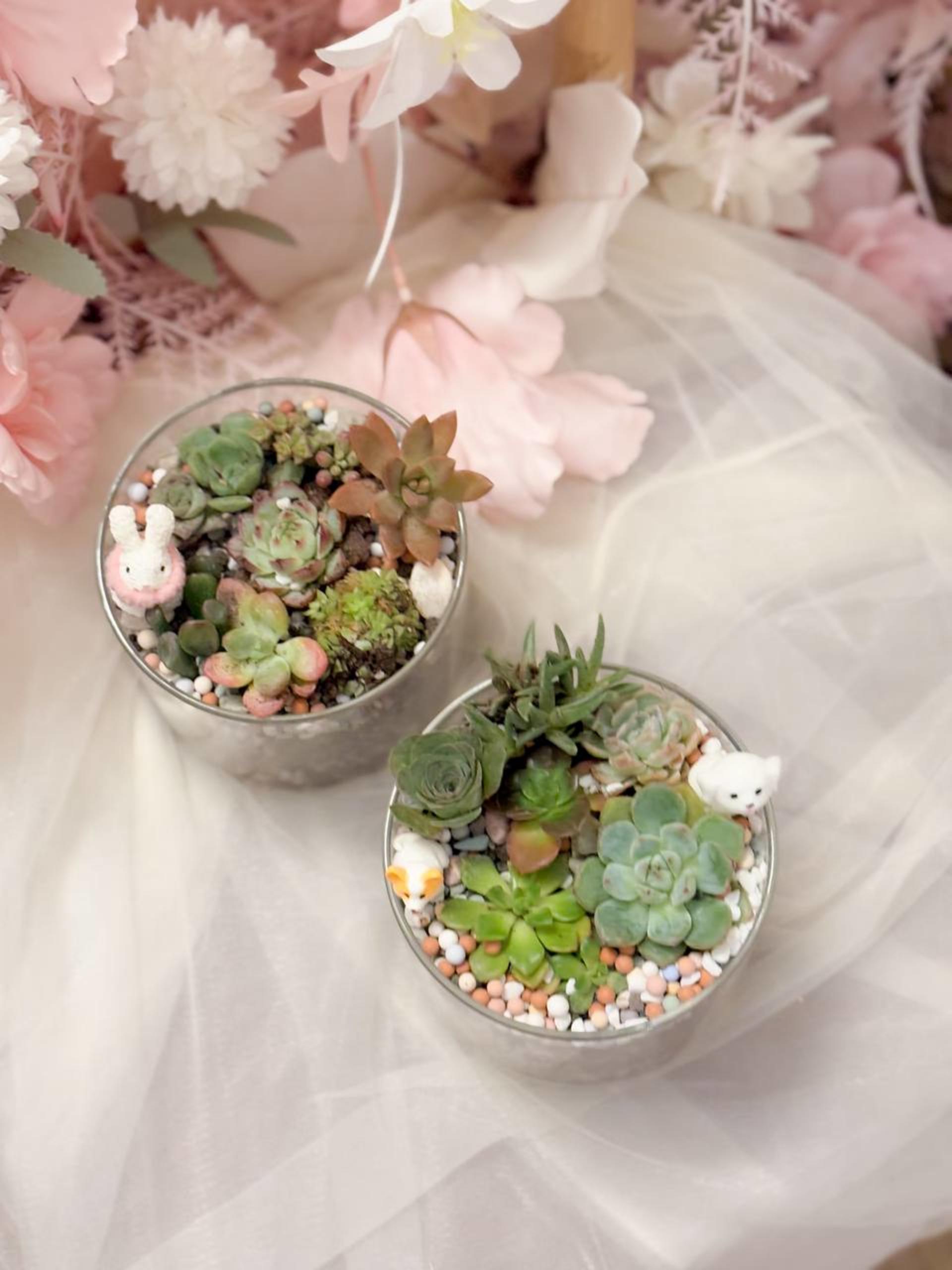 Myosotis Flower - Succulent Terrarium Workshop - Thumbnail 31