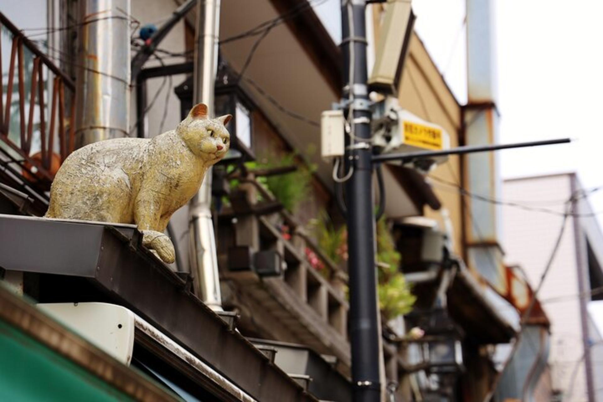 Tokyo: Yanaka Historic Shopping Streets Tour - Thumbnail 6