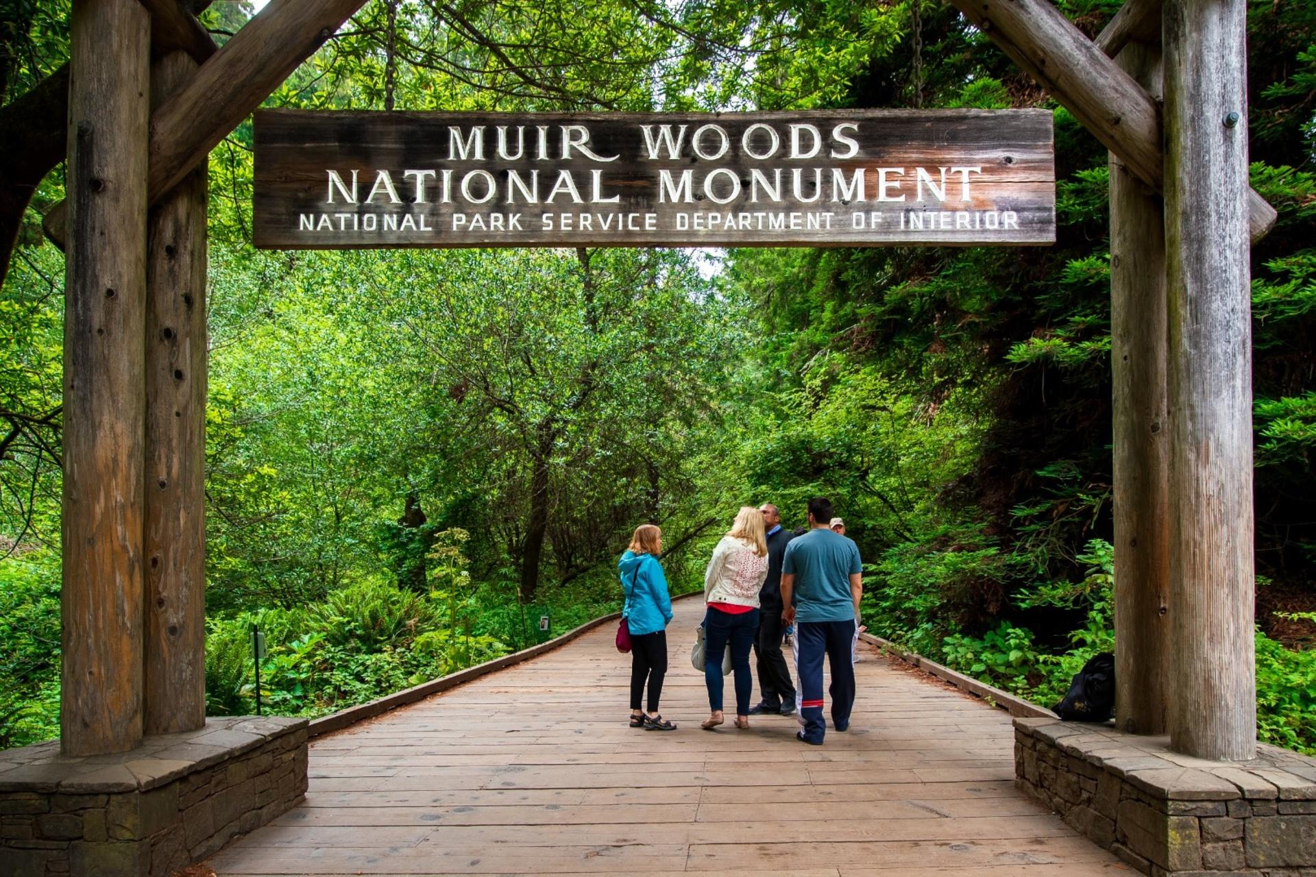 Muir Woods and California Wine Country Tour from San Francisco - Thumbnail 2