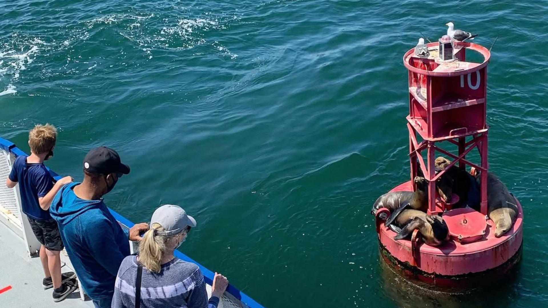 Harbor Cruise Experience from West Harbor, Los Angeles - Thumbnail 2
