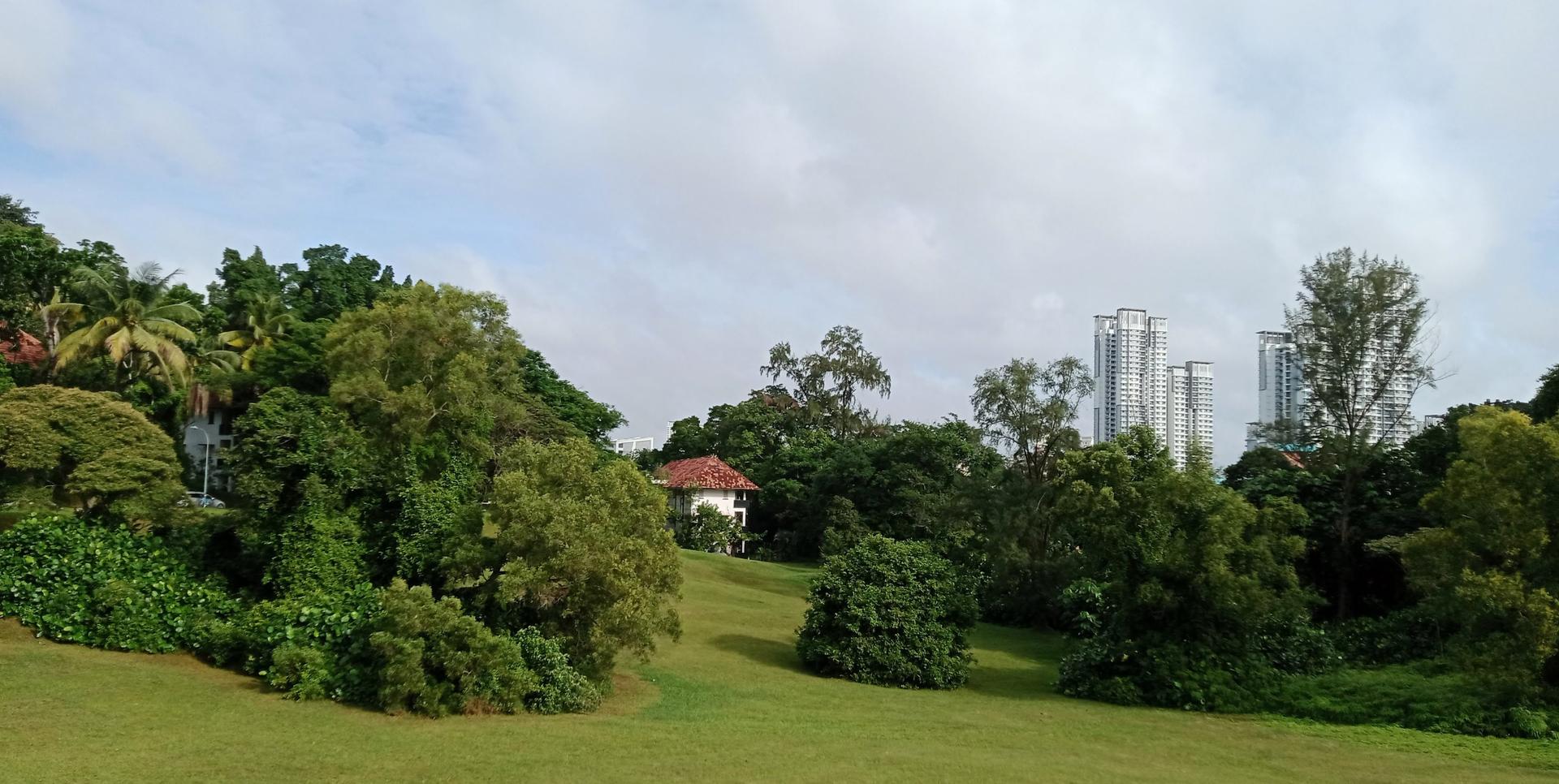 Singapore Commonwealth Half-Day Tour - Image 1