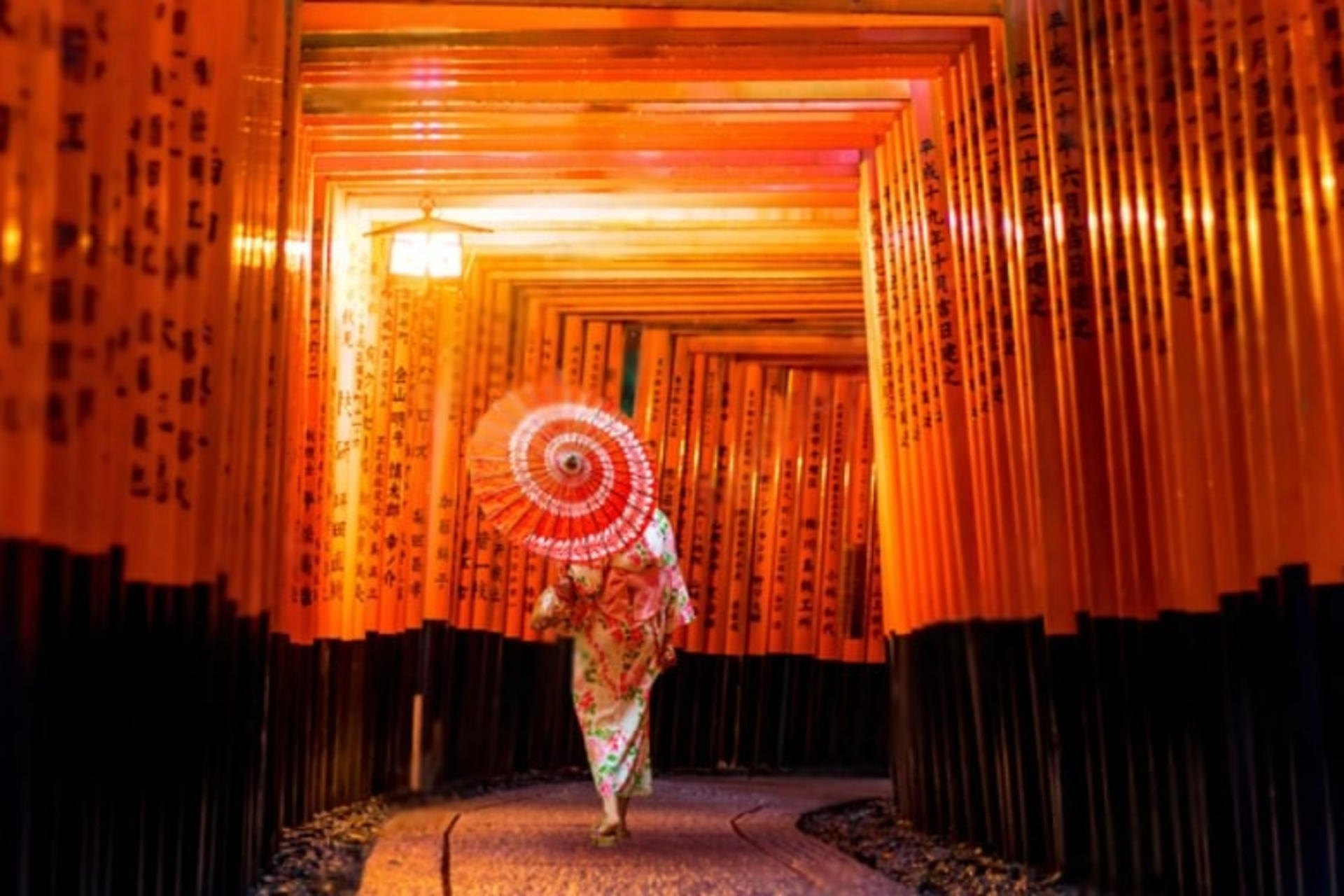 10 Day Japan Private Tour Unveiling Maximum Attractions - Thumbnail 21