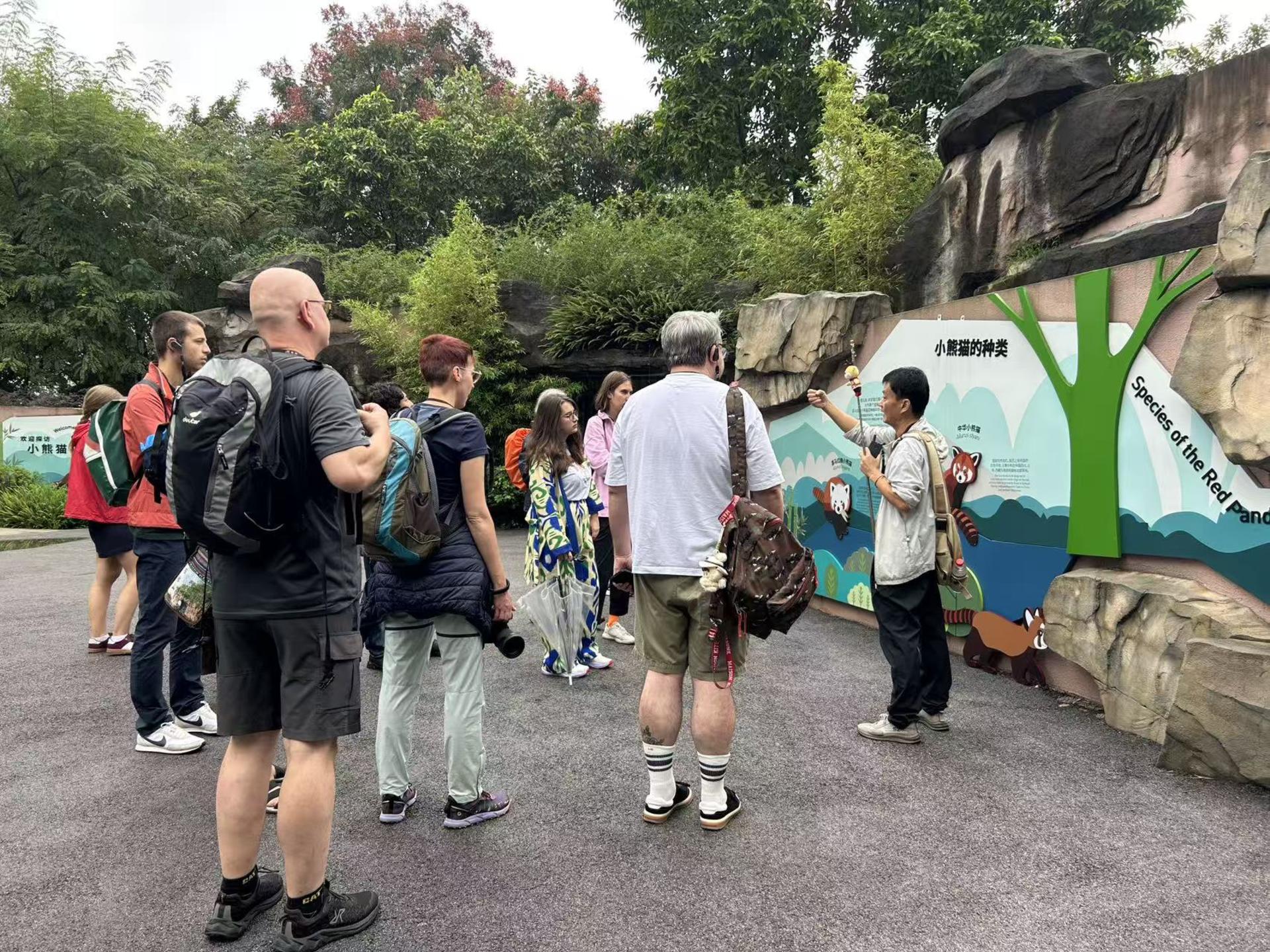 Chengdu Panda Base & Leshan Giant Buddha Day Tour with Guide - Thumbnail 2