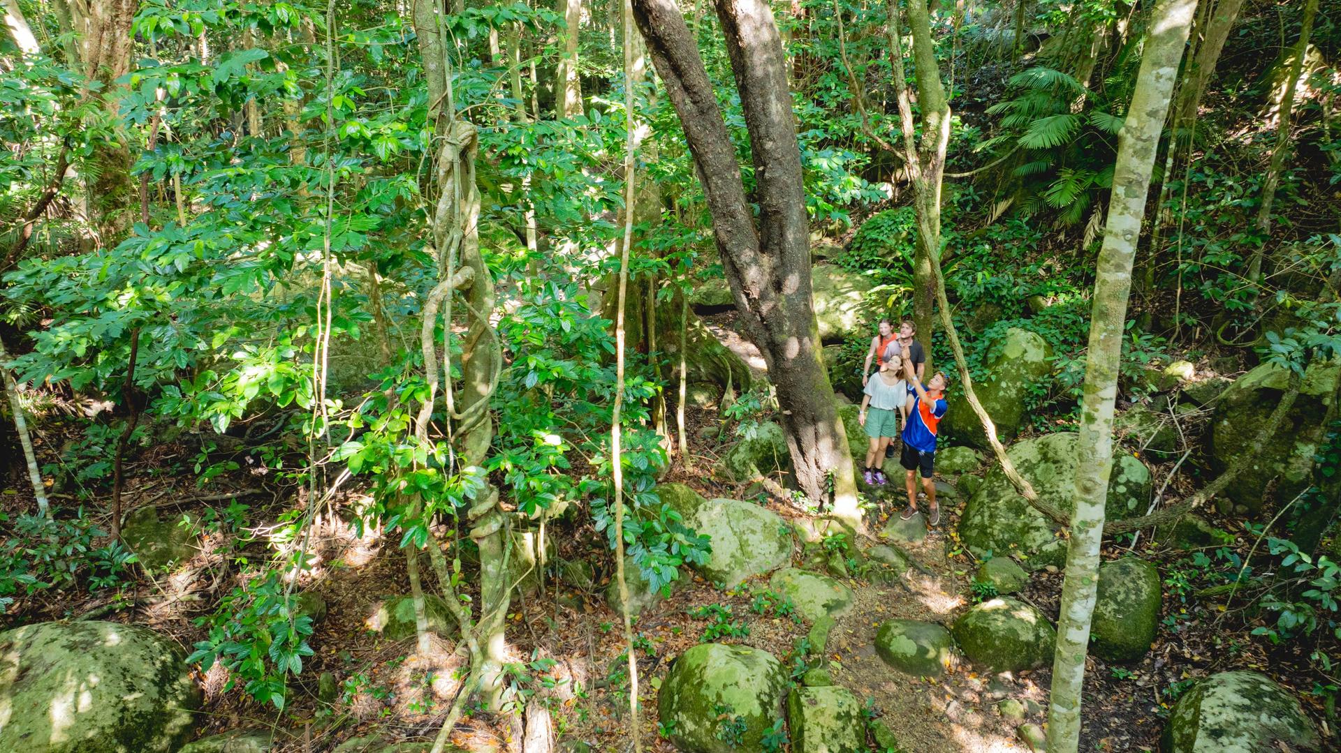 Fitzroy Island Day Trip from Cairns - Thumbnail 9