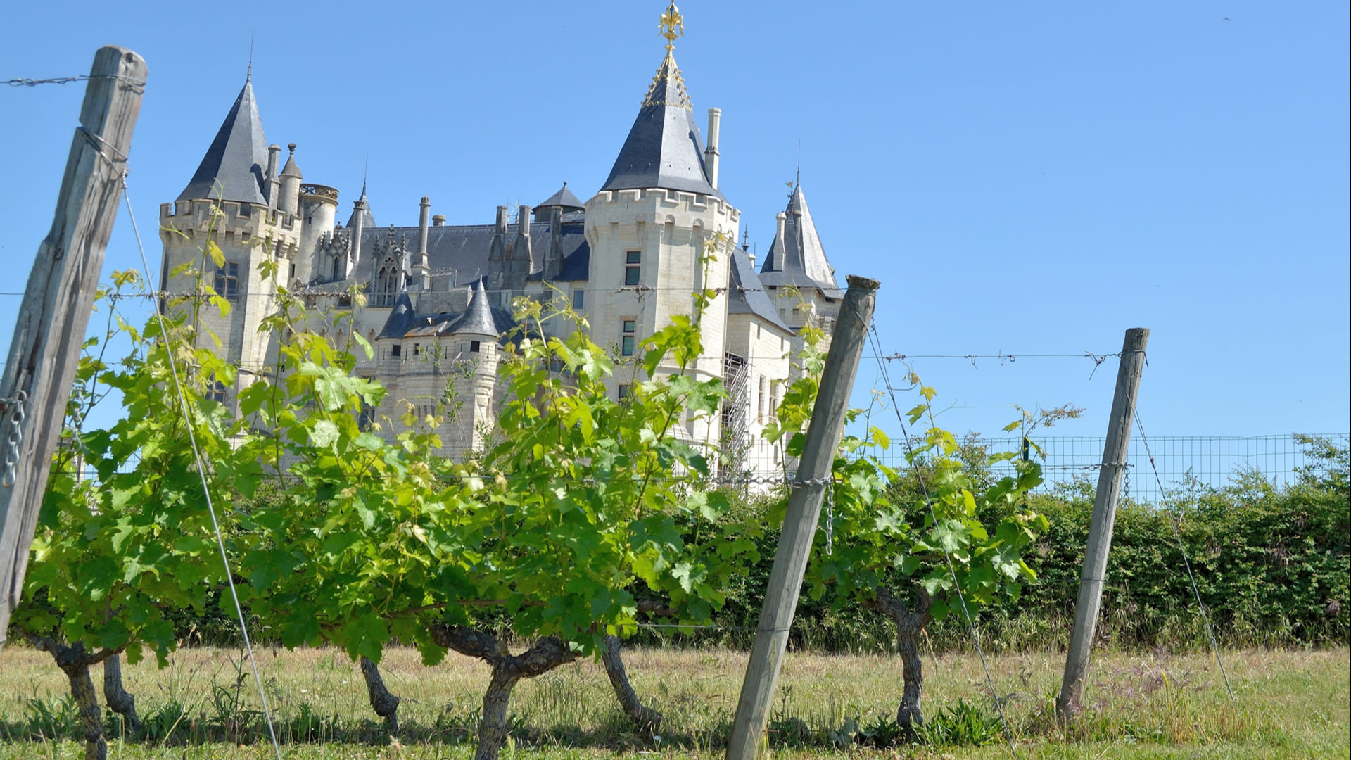 Loire Valley Full Day Wine Tour from Tours  - Thumbnail 9