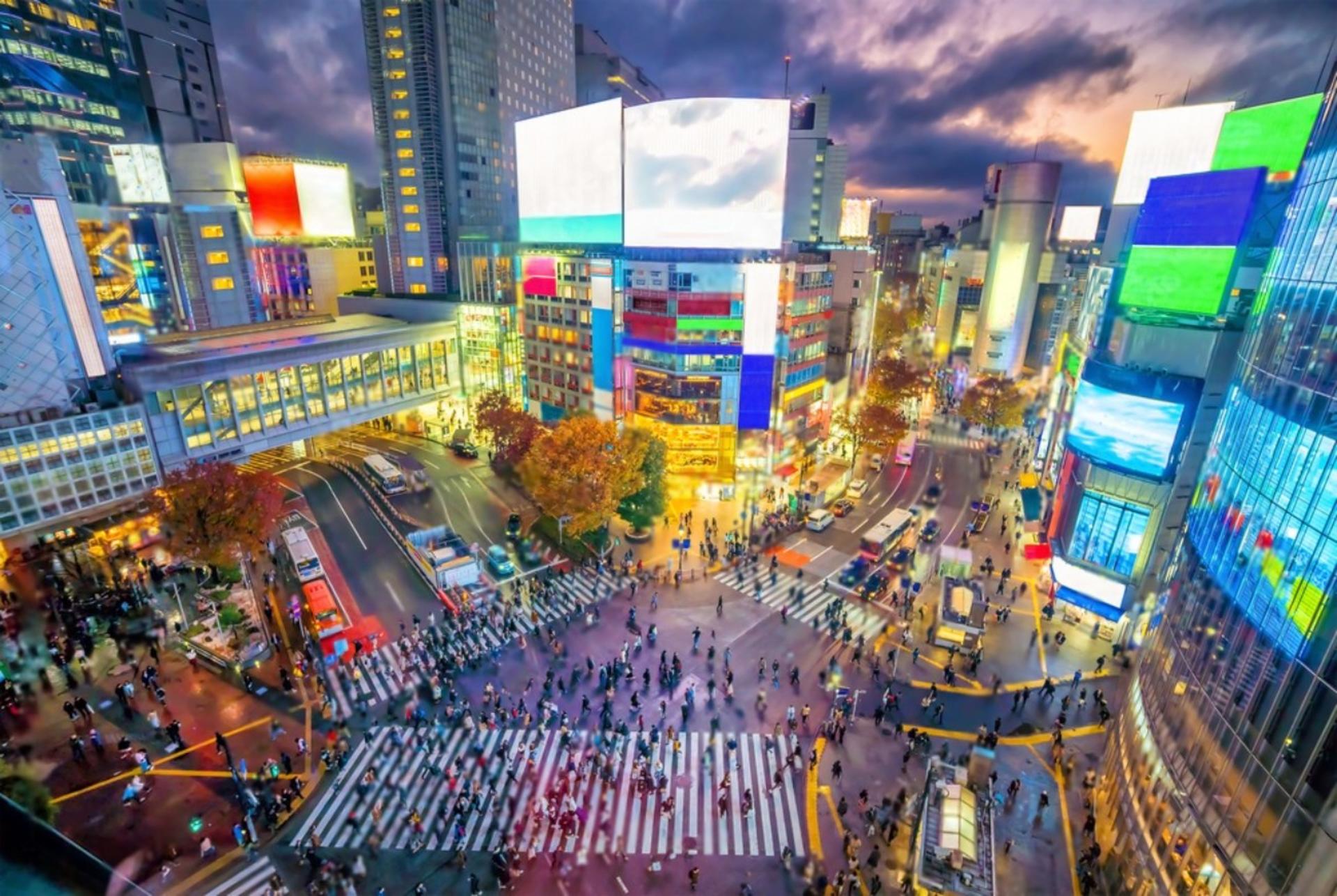 Tokyo Highlights Private Day Trip - Thumbnail 8