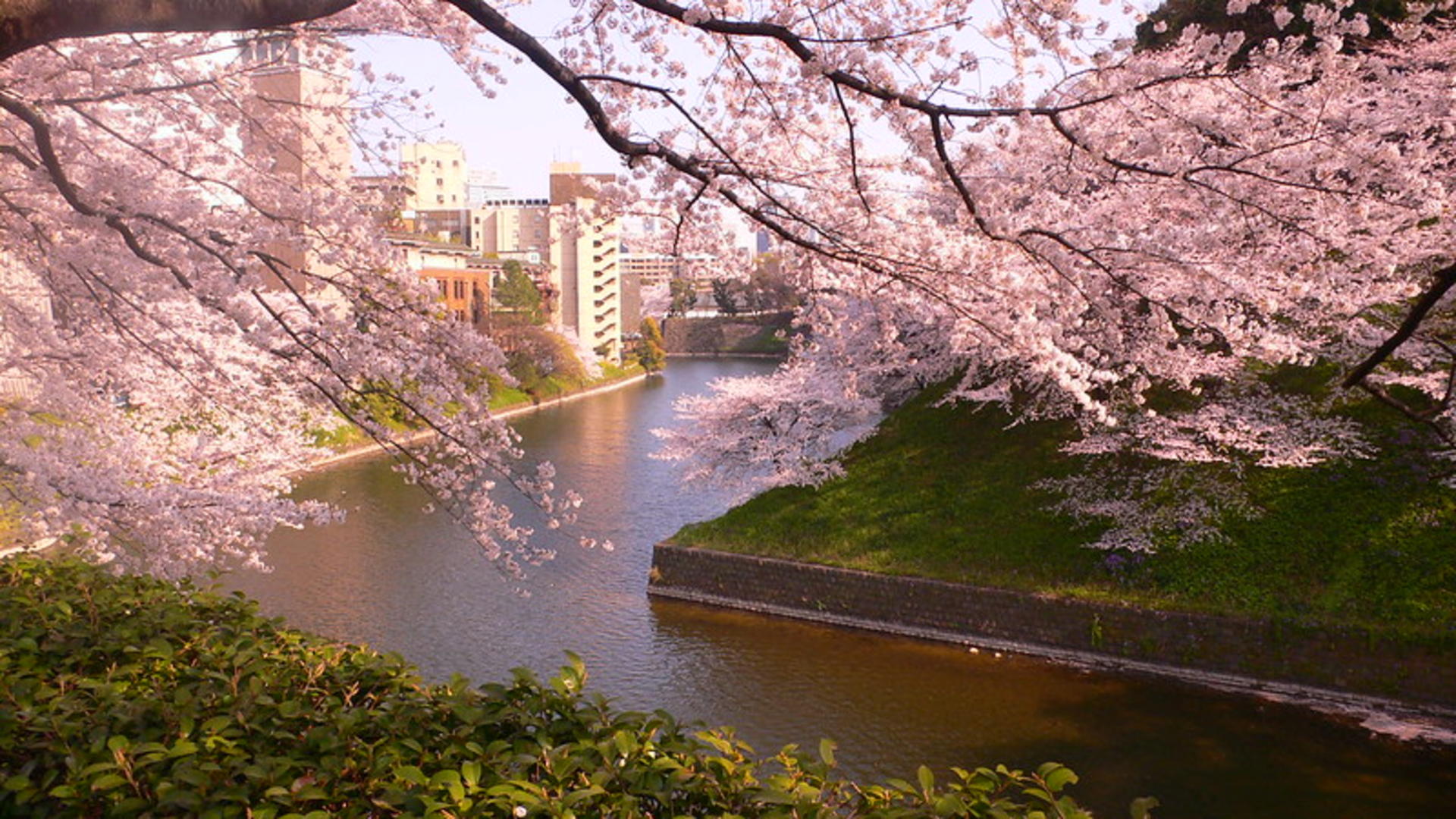 Tokyo City, Private Customized Day Trip with English-speaking Driver - Thumbnail 4