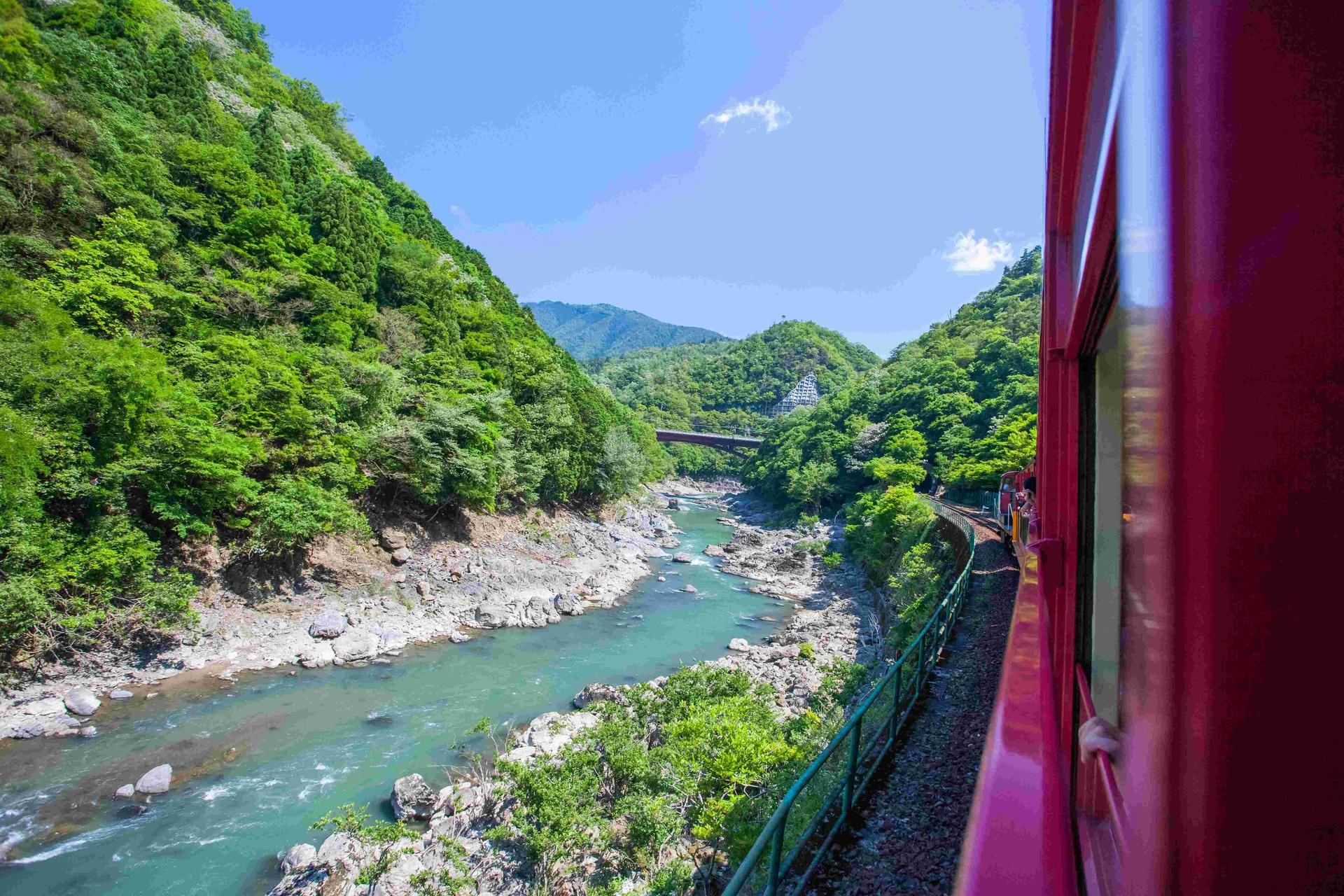 Kyoto Arashiyama Fushimi Inari and Nara Deer Day Tour - Thumbnail 45