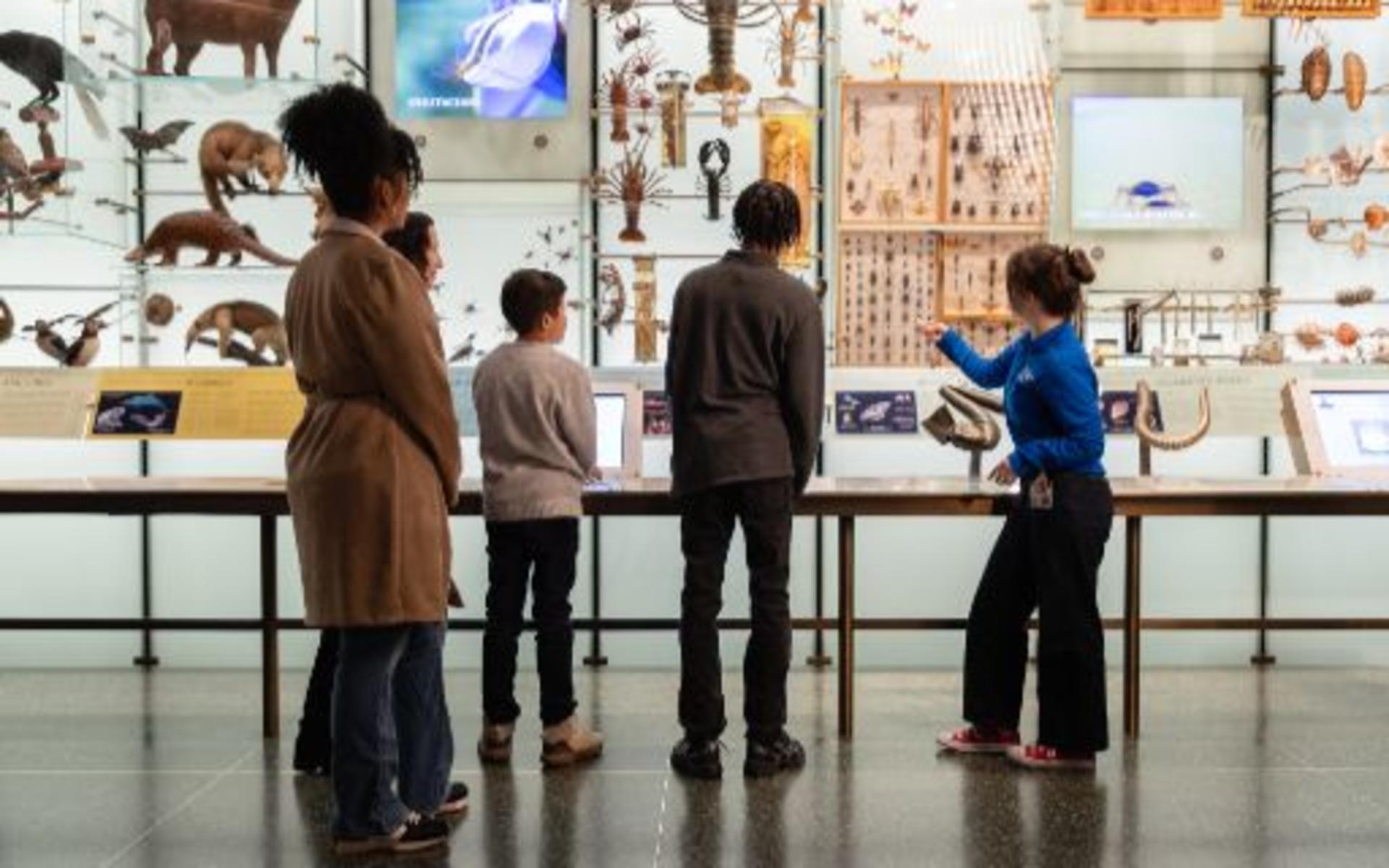 American Museum of Natural History Ticket - Thumbnail 4
