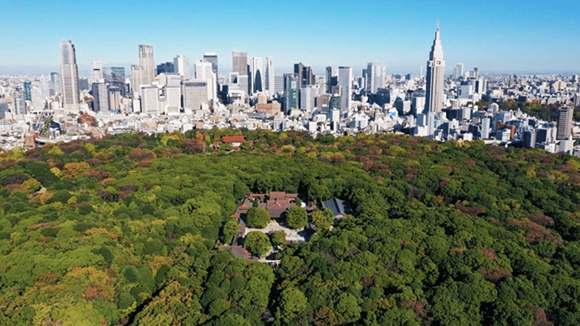 Tokyo: Meiji Shrine Walking Tour - Shintoism & Imperial System - Image 1
