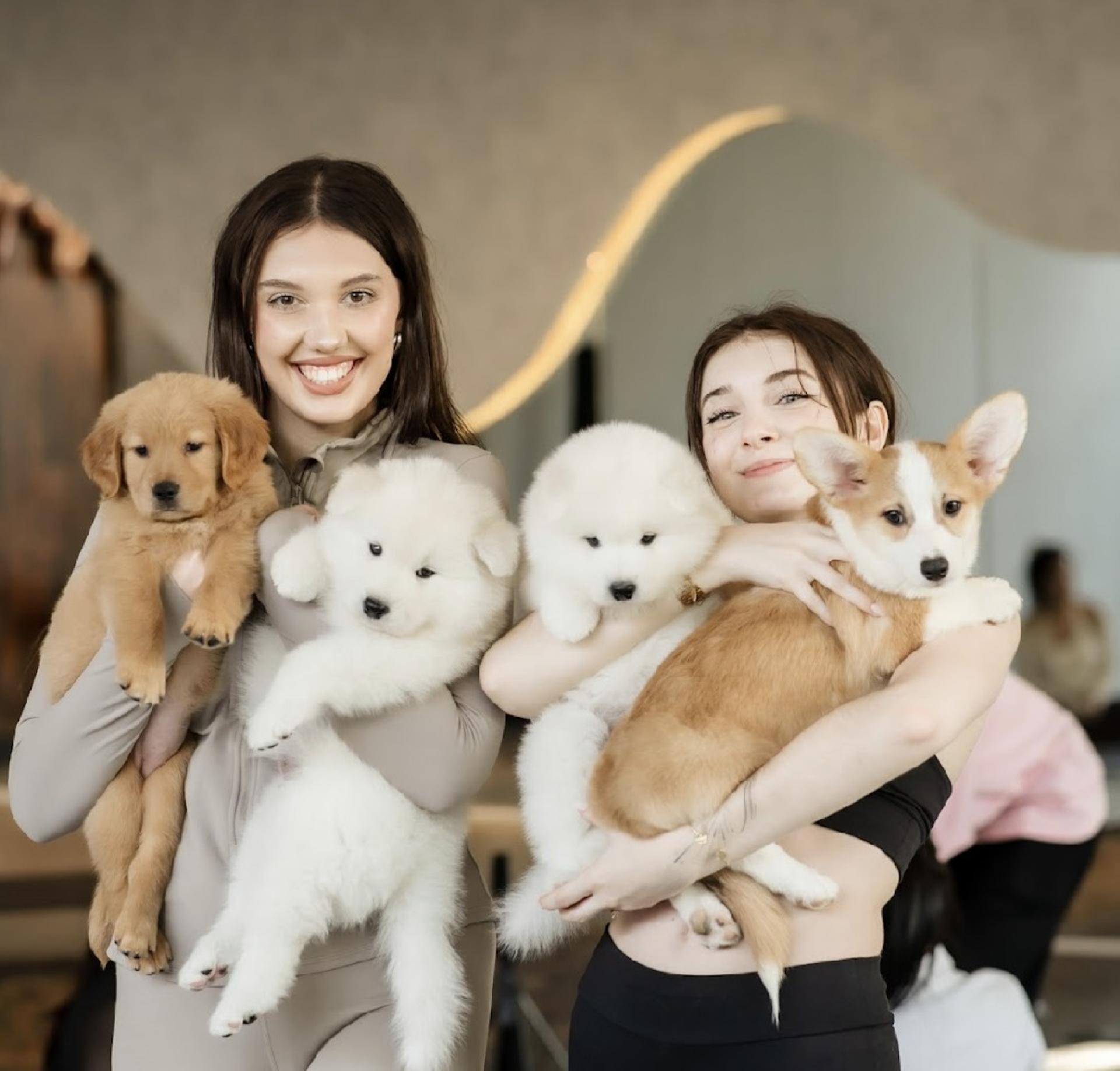 Puppy & Kitten Yoga Therapy with Photo Experience in Bangkok - Thumbnail 28