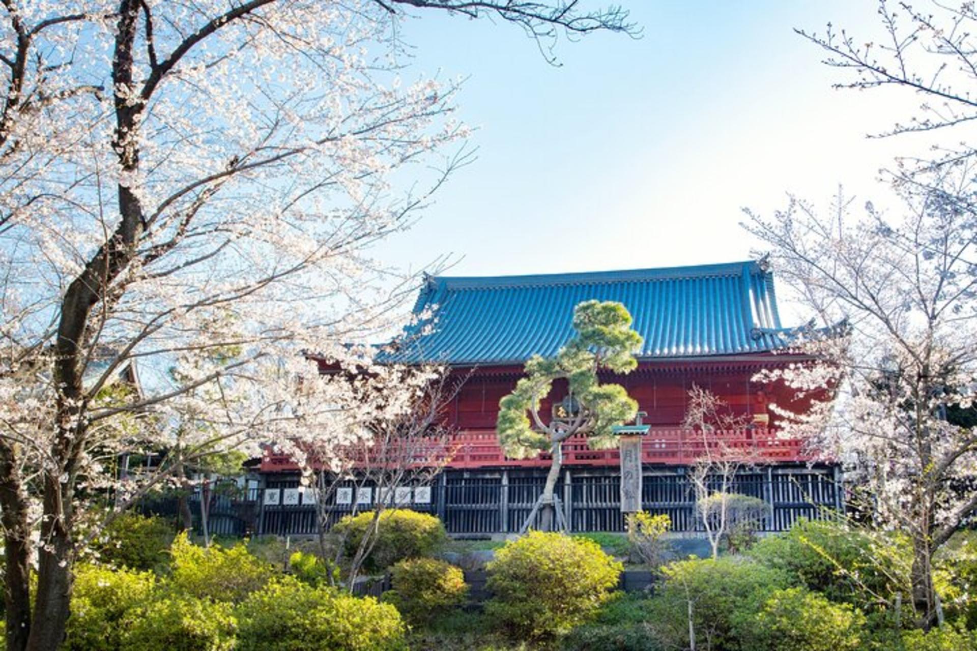Tokyo National Museum and Ueno Ukiyo-e History Private Tour - Thumbnail 5