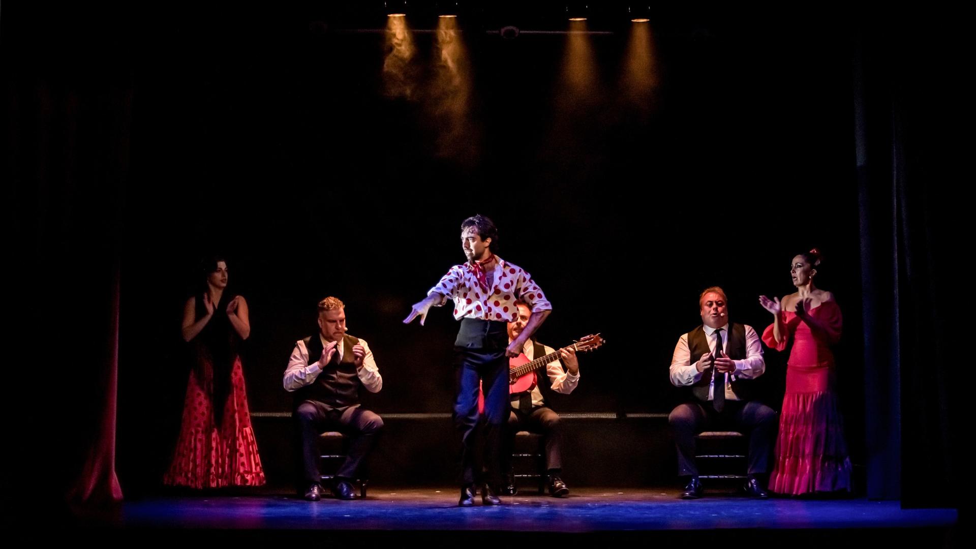 Sensaciones flamenco show in Granada - Thumbnail 4