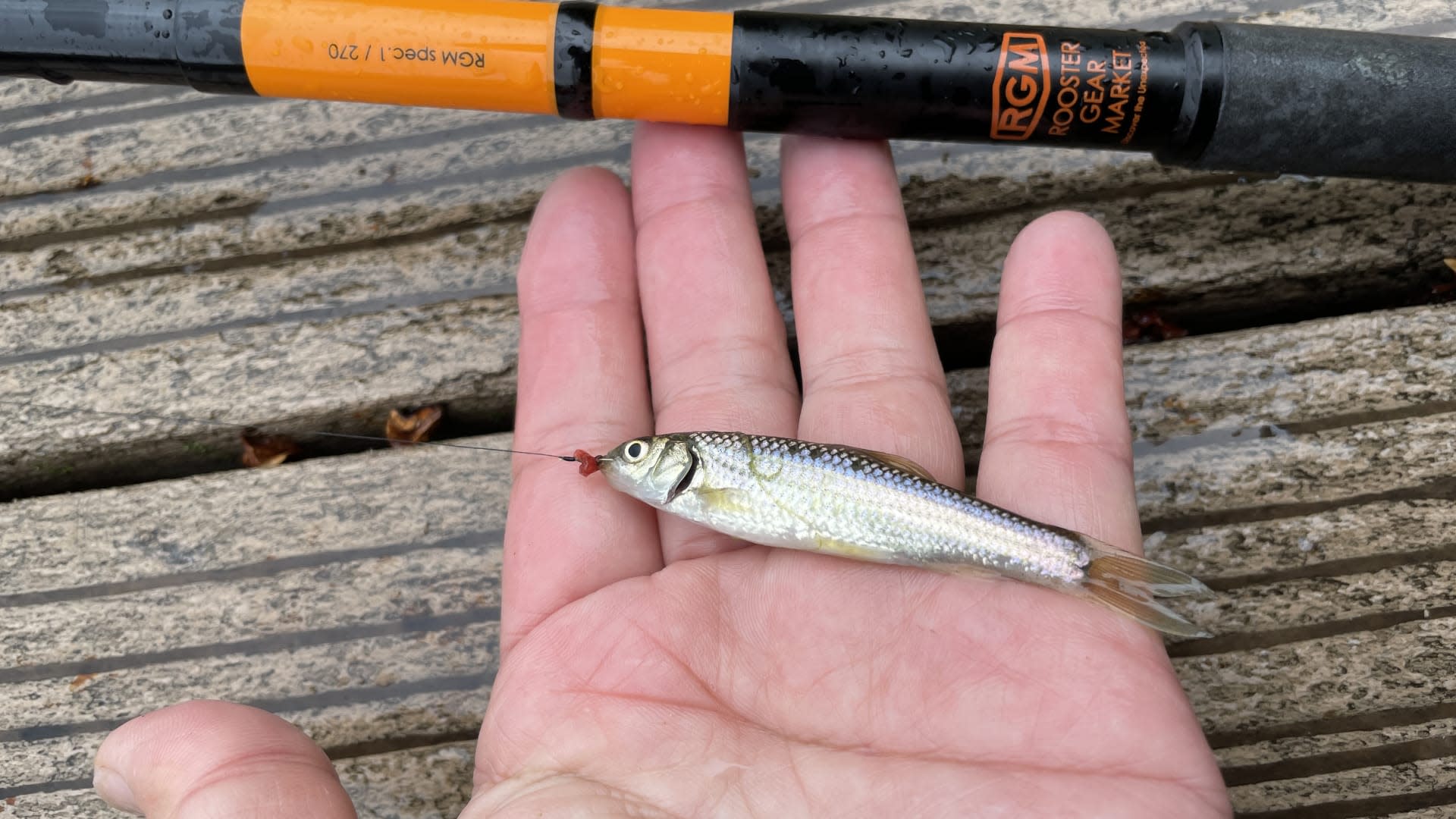 Lampas Outdoor Life: Traditional Japanese Fishing Experience - Thumbnail 18