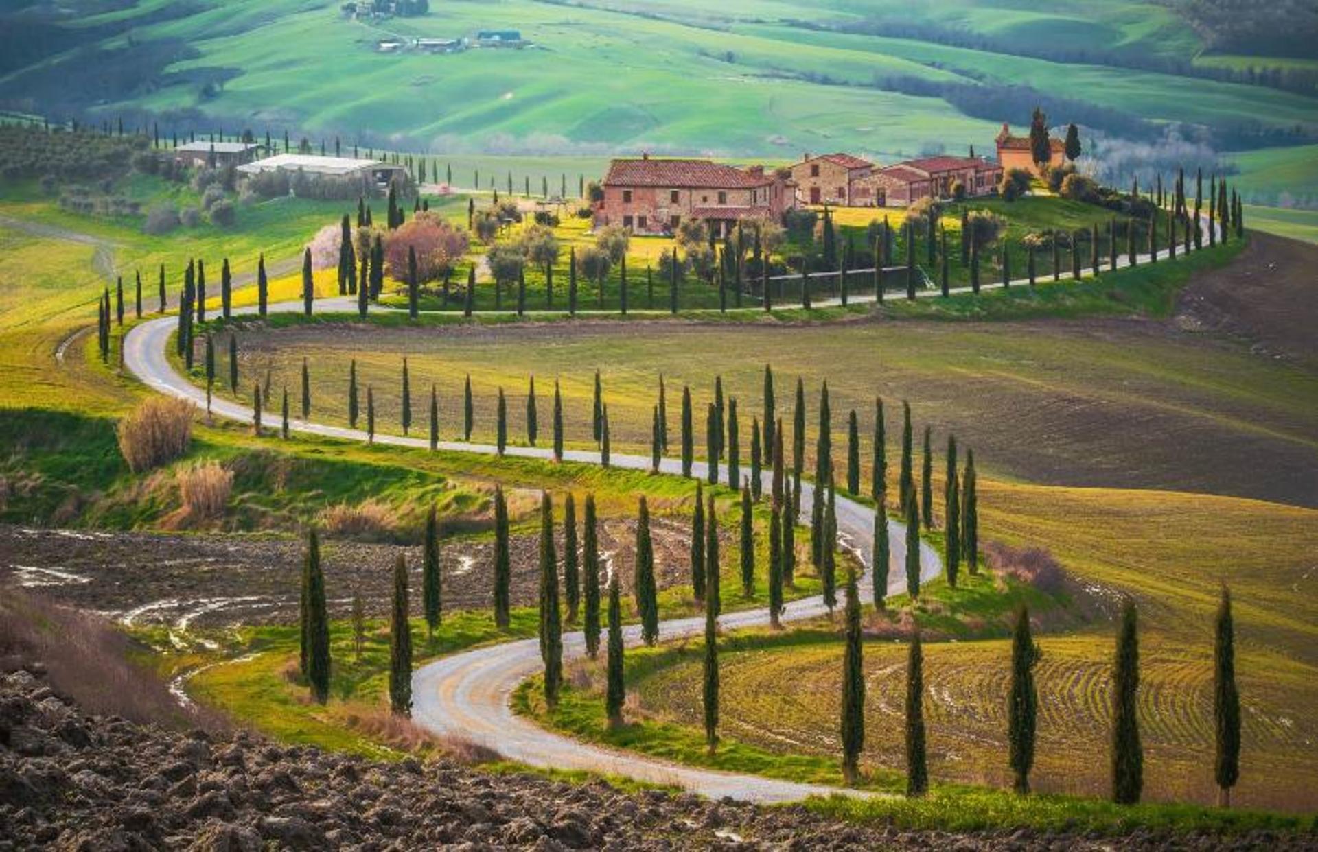 San Gimignano, Chianti and Montalcino Day Tour from Siena - Thumbnail 8