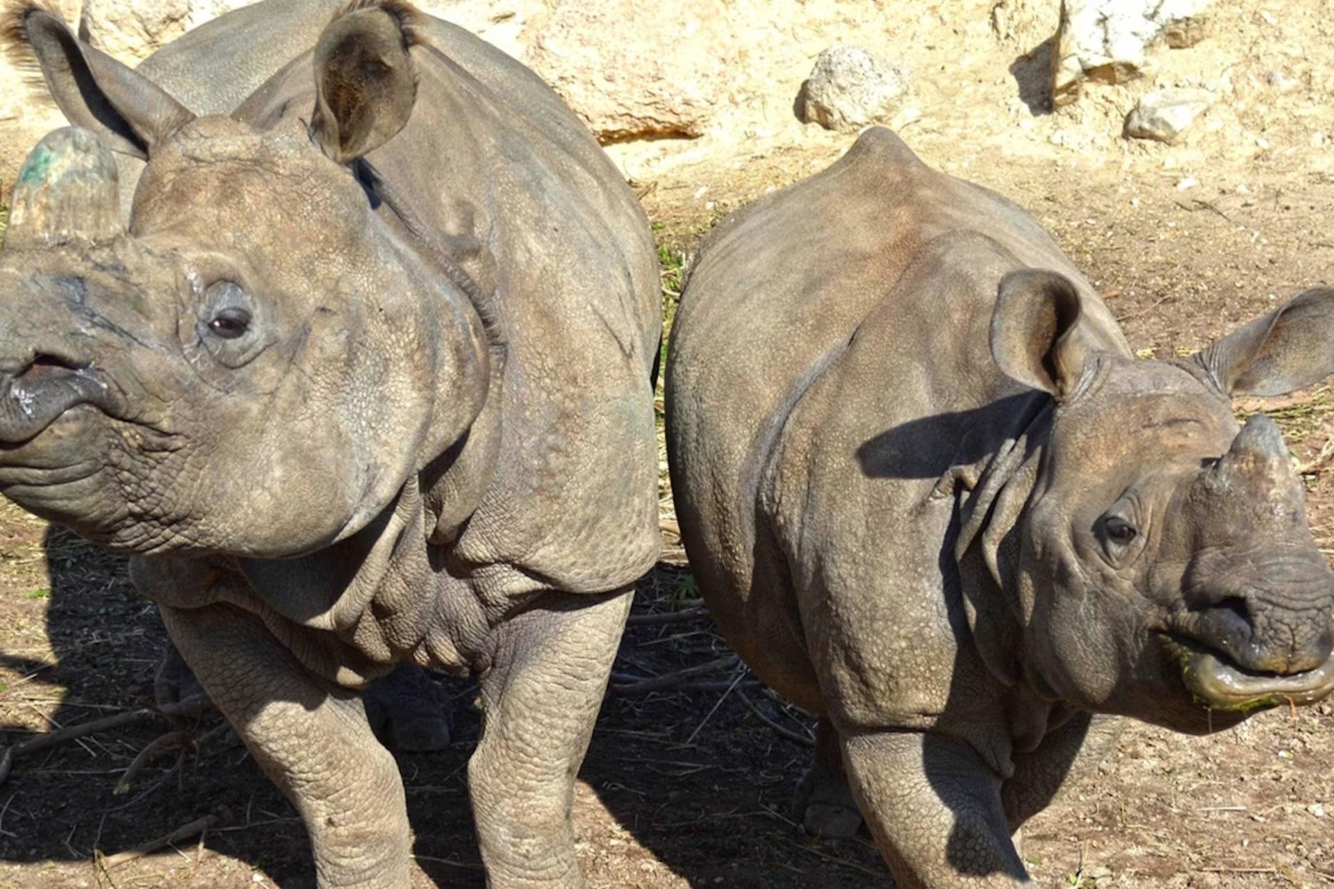Terra Natura ticket in Benidorm - Thumbnail 5