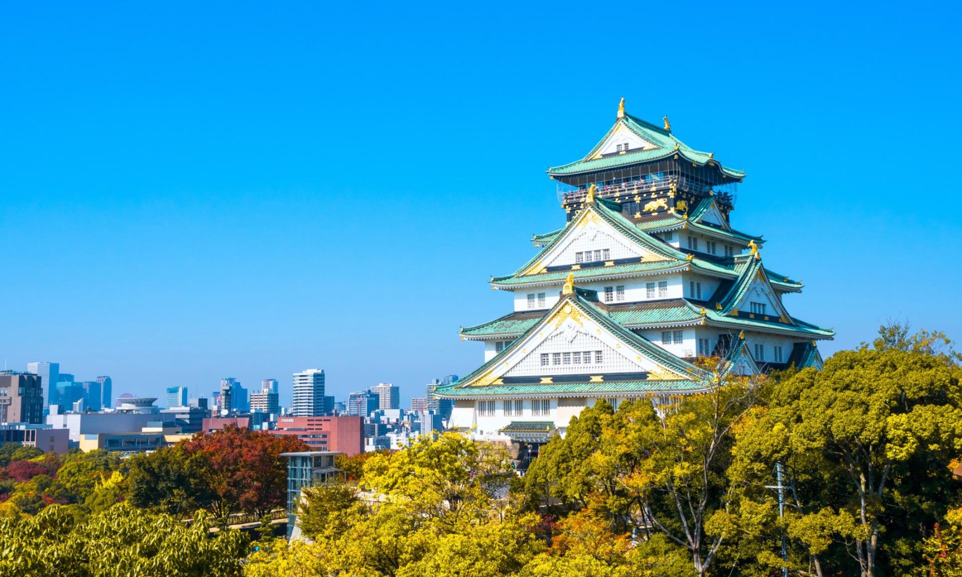 Osaka Castle Ticket - Image 1