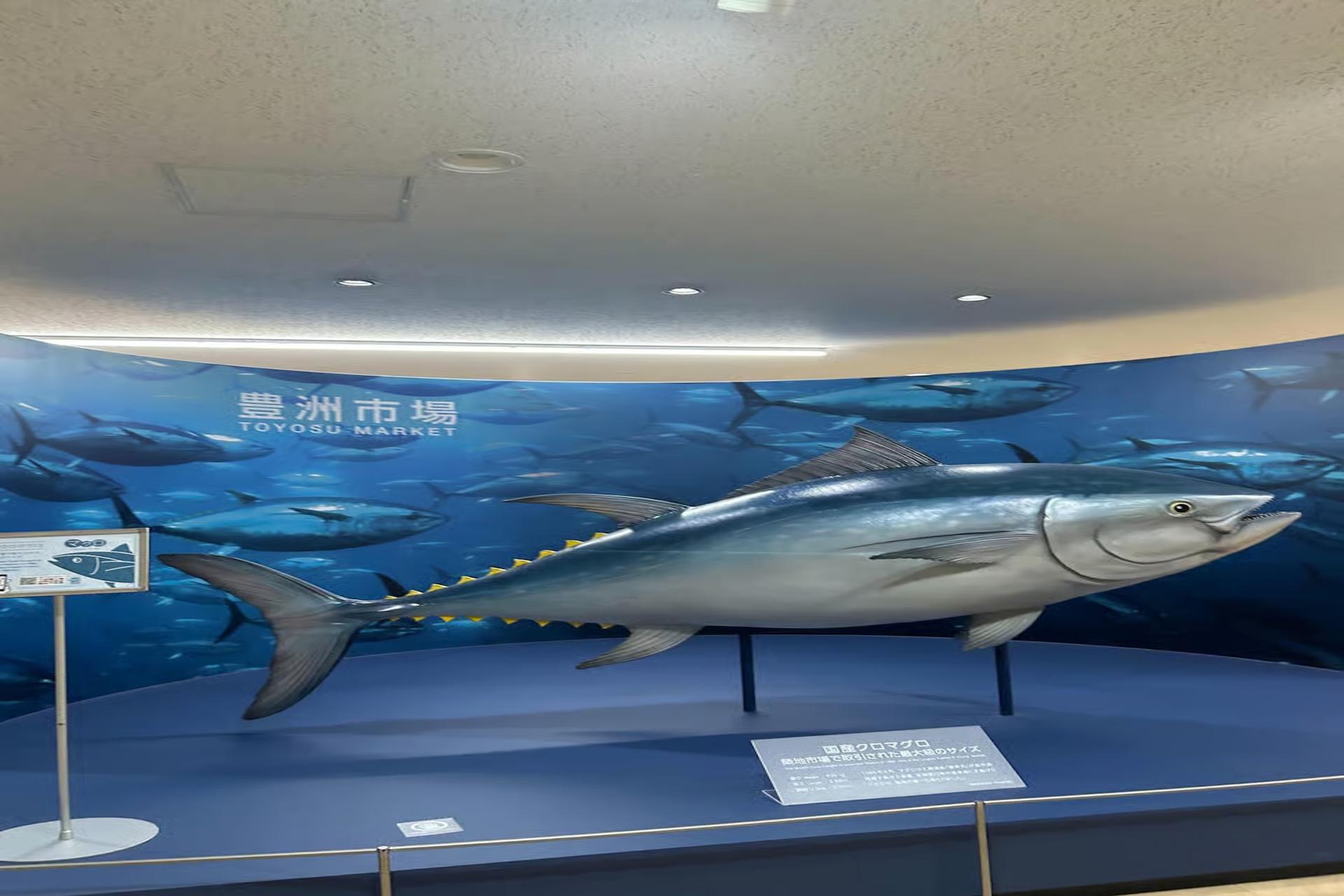 Tokyo Toyosu Tuna Auction + Breakfast (Sushi Dai or Bentomi) - Thumbnail 2