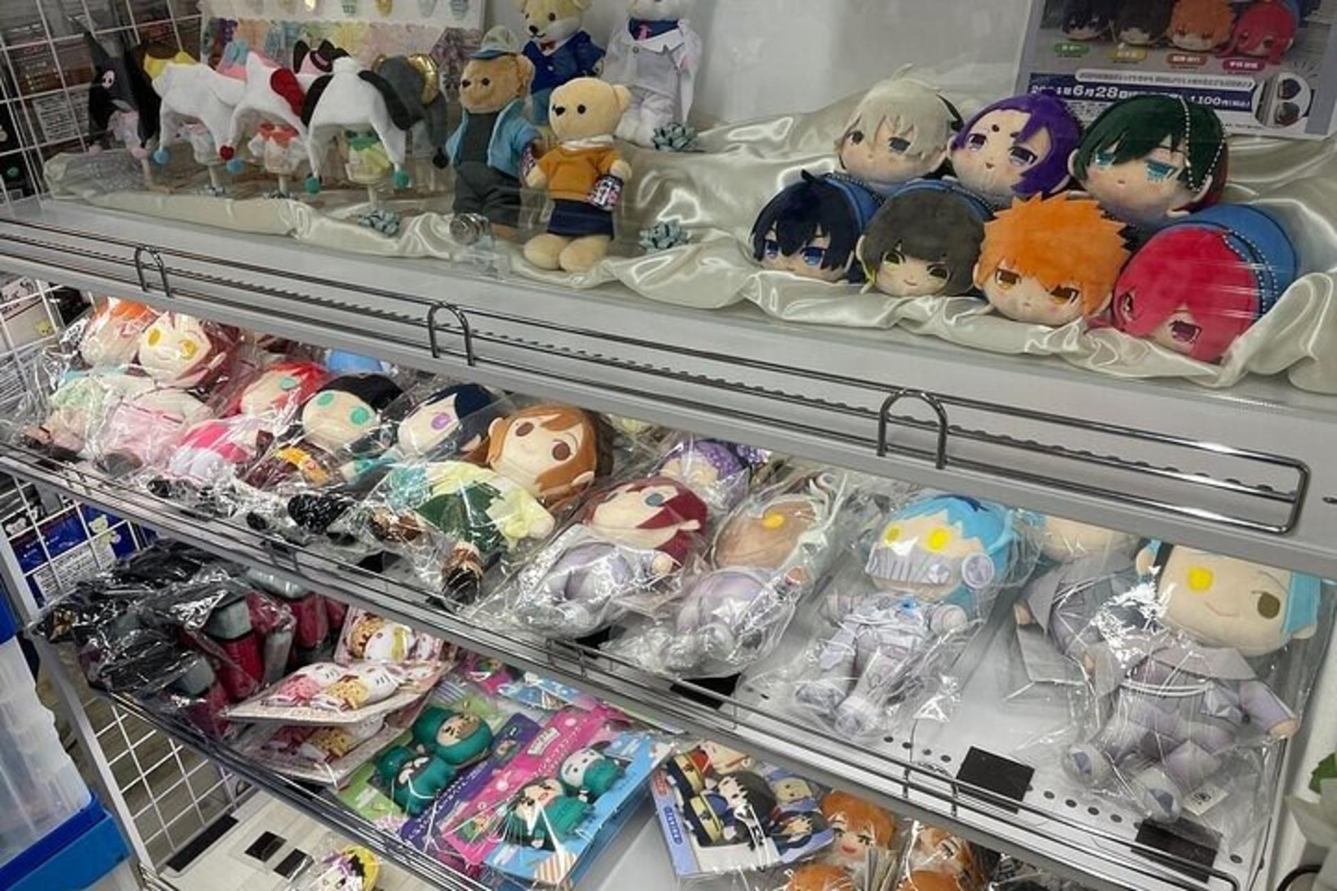 Tokyo Anime and Game Shopping Tour in Ikebukuro - Thumbnail 4
