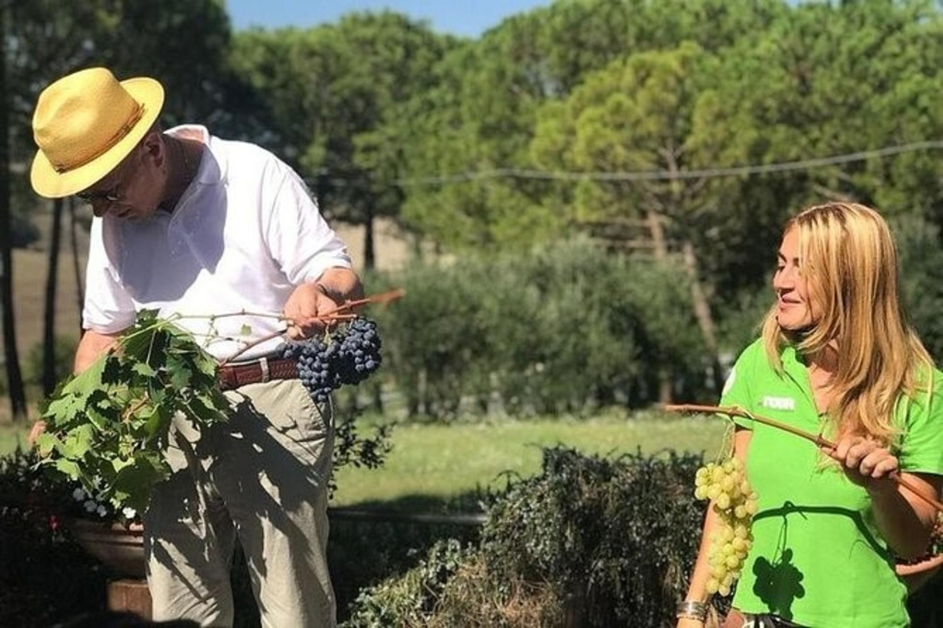 Val D'Orcia, Montepulciano, and Pienza Wine Tour from Florence - Thumbnail 3