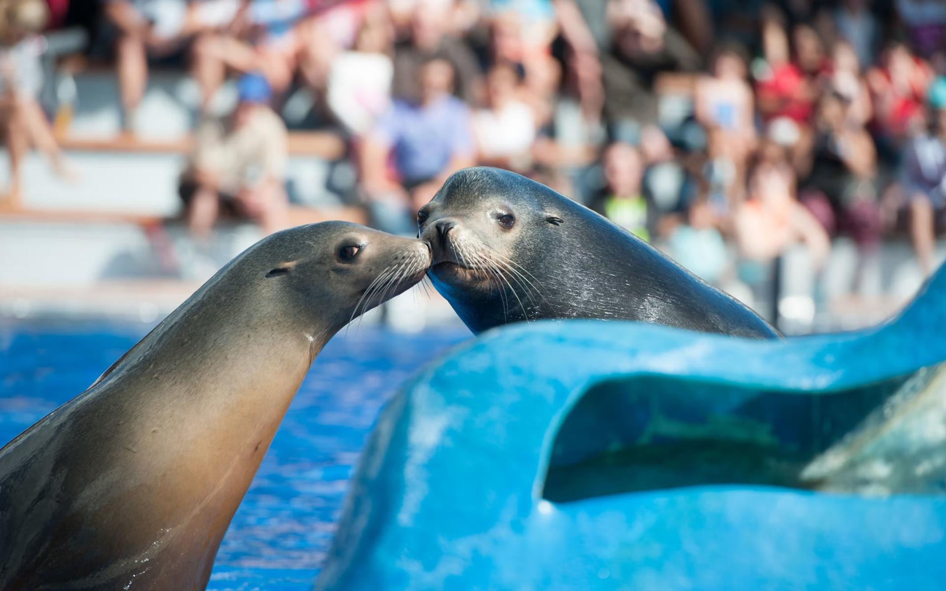 Marineland Mallorca ticket - Image 1