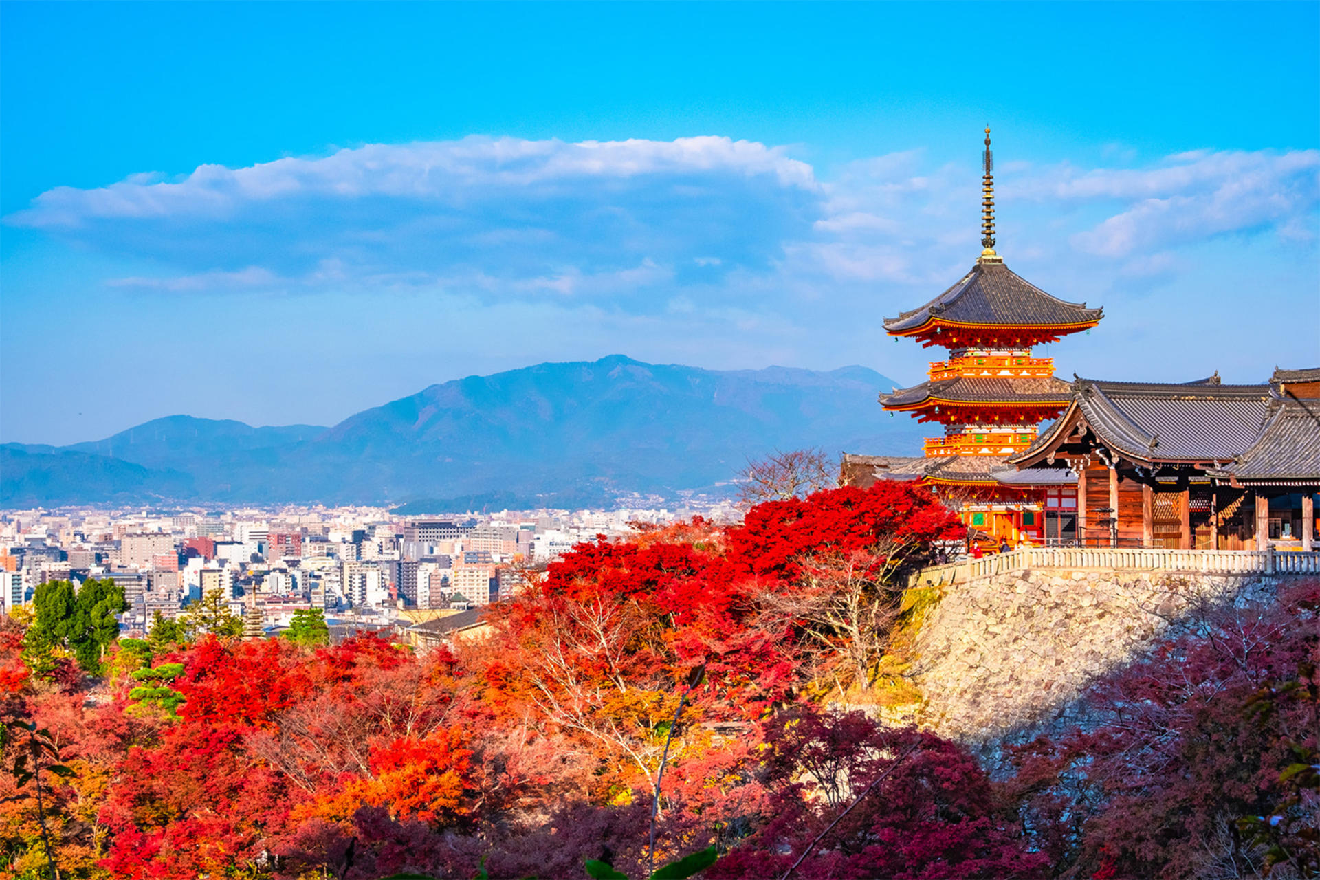 [1 Person Group] Meet adorable deer, stroll through ancient capitals: Kyoto, Nara, Osaka Kansai classic panoramic one-day tour - Thumbnail 3