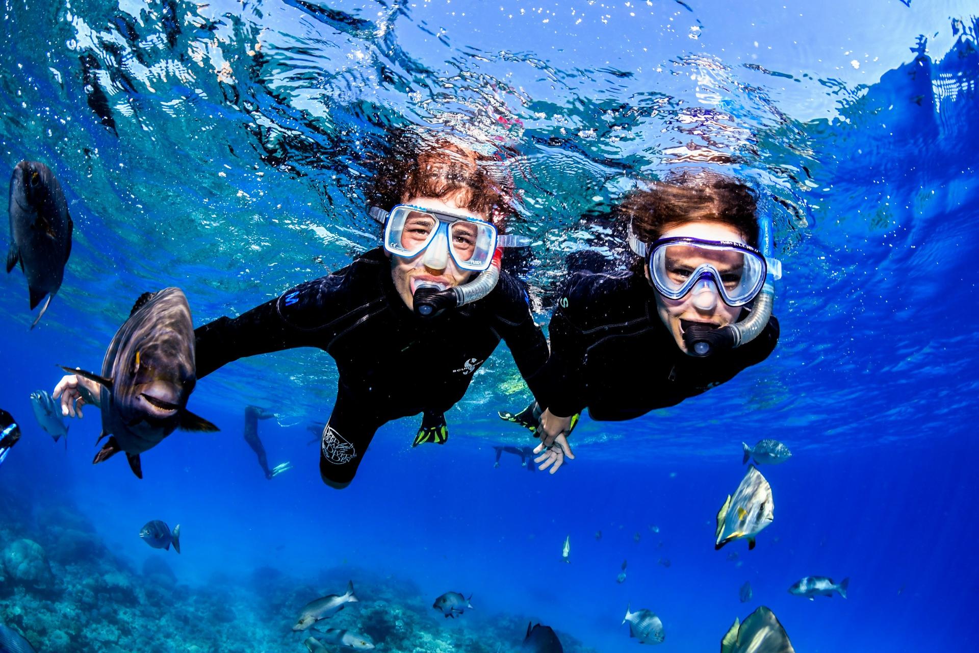 Great Barrier Reef Half Day and Full Day Tours - Thumbnail 13