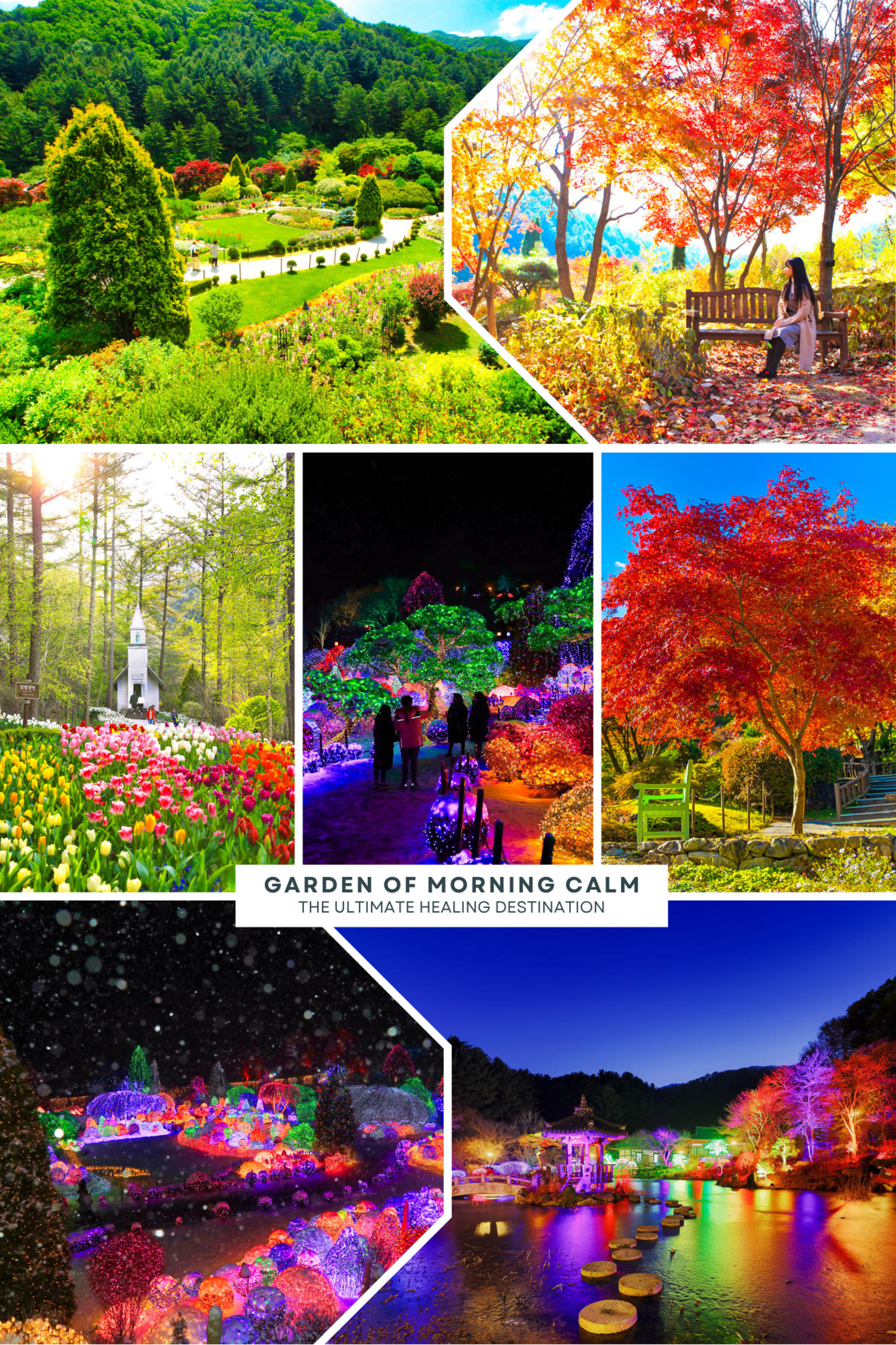 Gangwon-do and Gyeonggi-do Private Car Charter  - Thumbnail 6