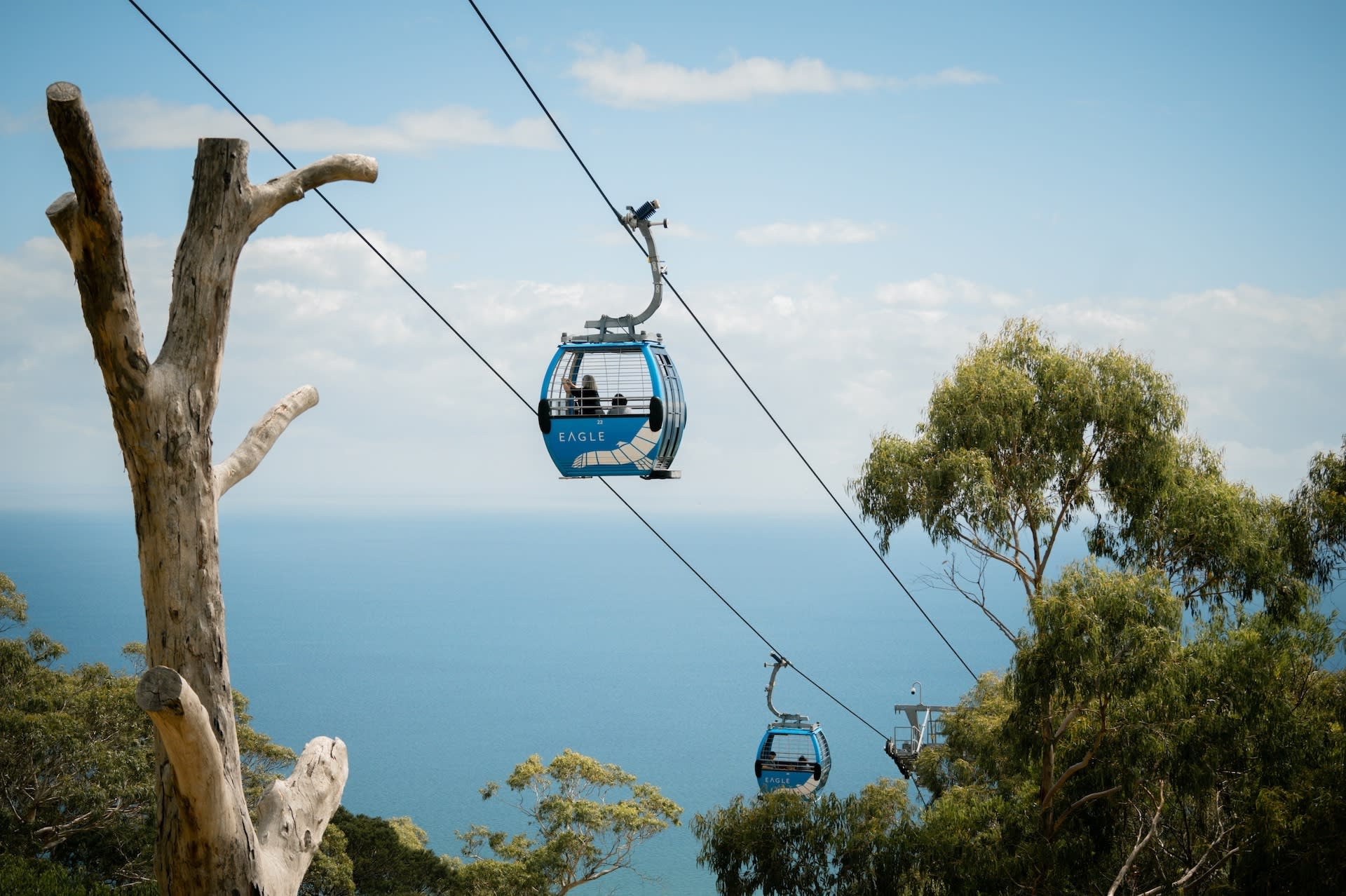 Mornington Peninsula Coastal Discovery Tour - Thumbnail 6