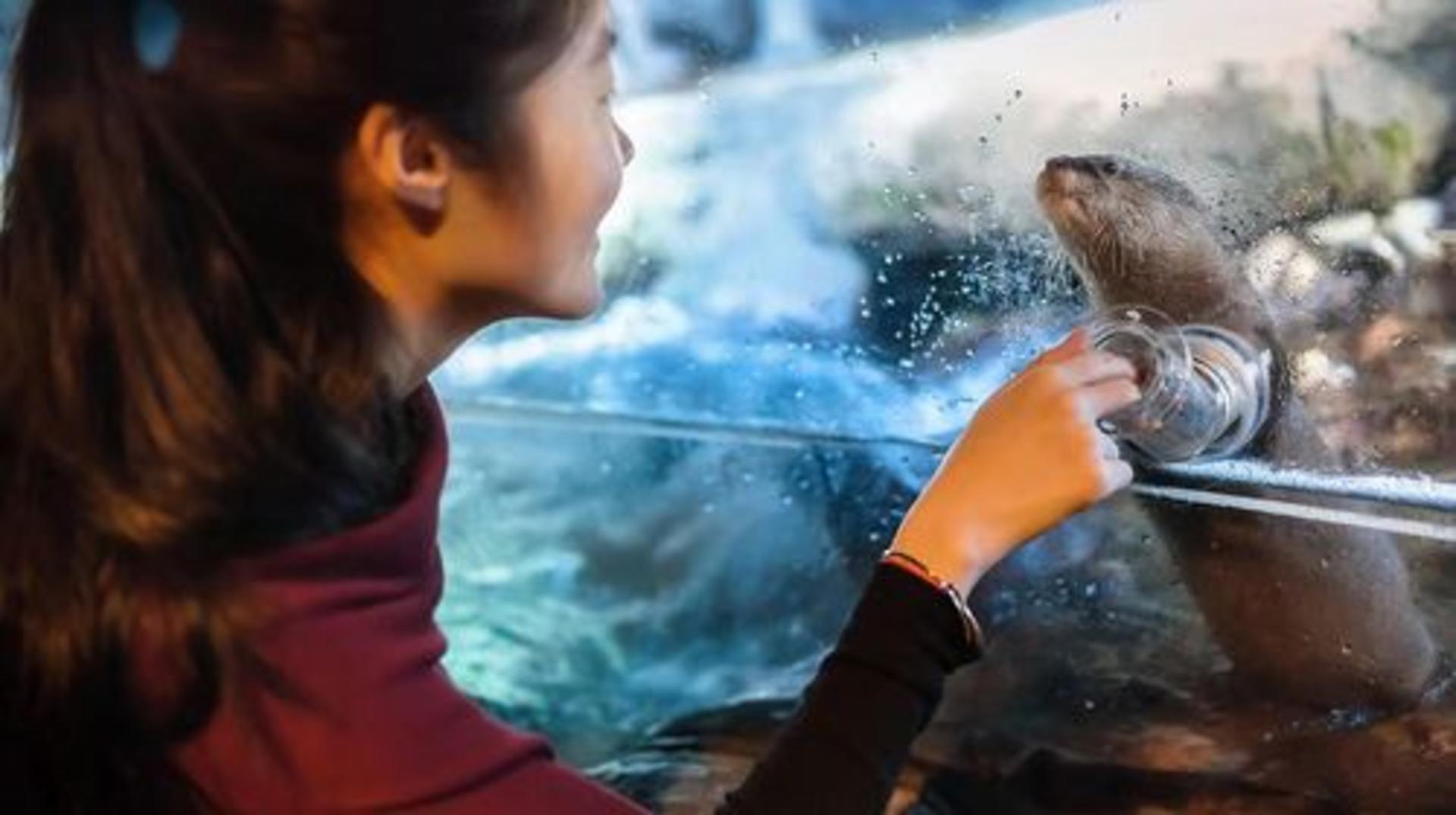 Shanghai Changfeng Ocean World Ticket - Thumbnail 2