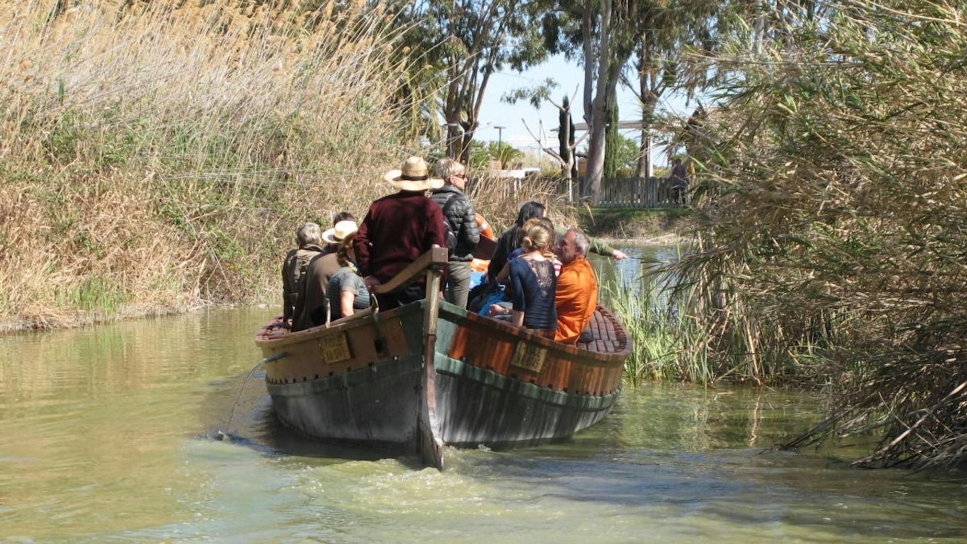 Boat cruise experience and bus trip in Albufera Natural Park   - Thumbnail 2